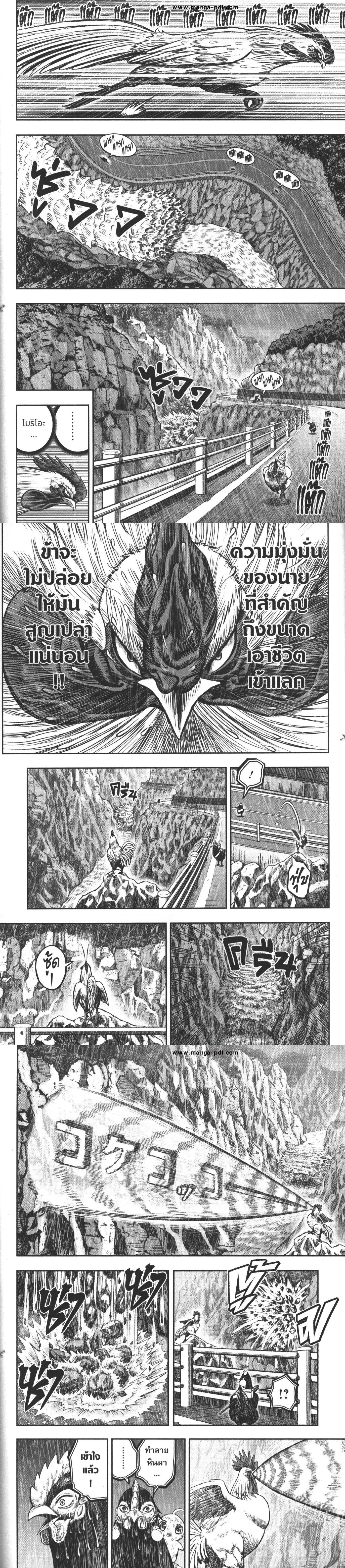 Manga-lc-com อ่านมังงะ อ่านการ์ตูน ออนไลน์ ฟรี Rooster Fighter ตอนที่ 1 2 3 4 5 6 7 8 9 10 11 12 13 14 ฟรี ไม่มีโฆษณา Manga-lc - อ่าน มังงะ อ่าน การ์ตูน ออนไลน์ อ่านมังงะ ฟรี