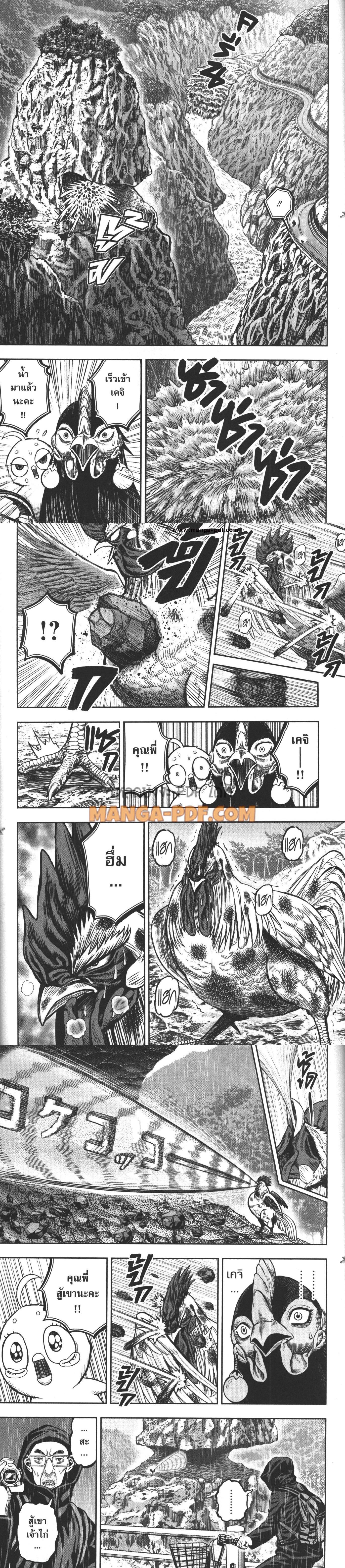 Manga-lc-com อ่านมังงะ อ่านการ์ตูน ออนไลน์ ฟรี Rooster Fighter ตอนที่ 1 2 3 4 5 6 7 8 9 10 11 12 13 14 ฟรี ไม่มีโฆษณา Manga-lc - อ่าน มังงะ อ่าน การ์ตูน ออนไลน์ อ่านมังงะ ฟรี