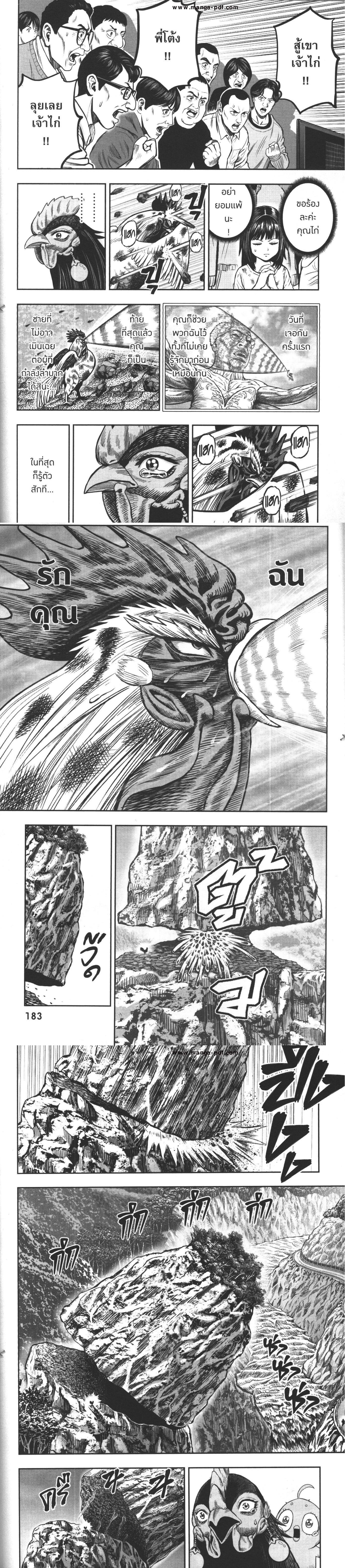 Manga-lc-com อ่านมังงะ อ่านการ์ตูน ออนไลน์ ฟรี Rooster Fighter ตอนที่ 1 2 3 4 5 6 7 8 9 10 11 12 13 14 ฟรี ไม่มีโฆษณา Manga-lc - อ่าน มังงะ อ่าน การ์ตูน ออนไลน์ อ่านมังงะ ฟรี