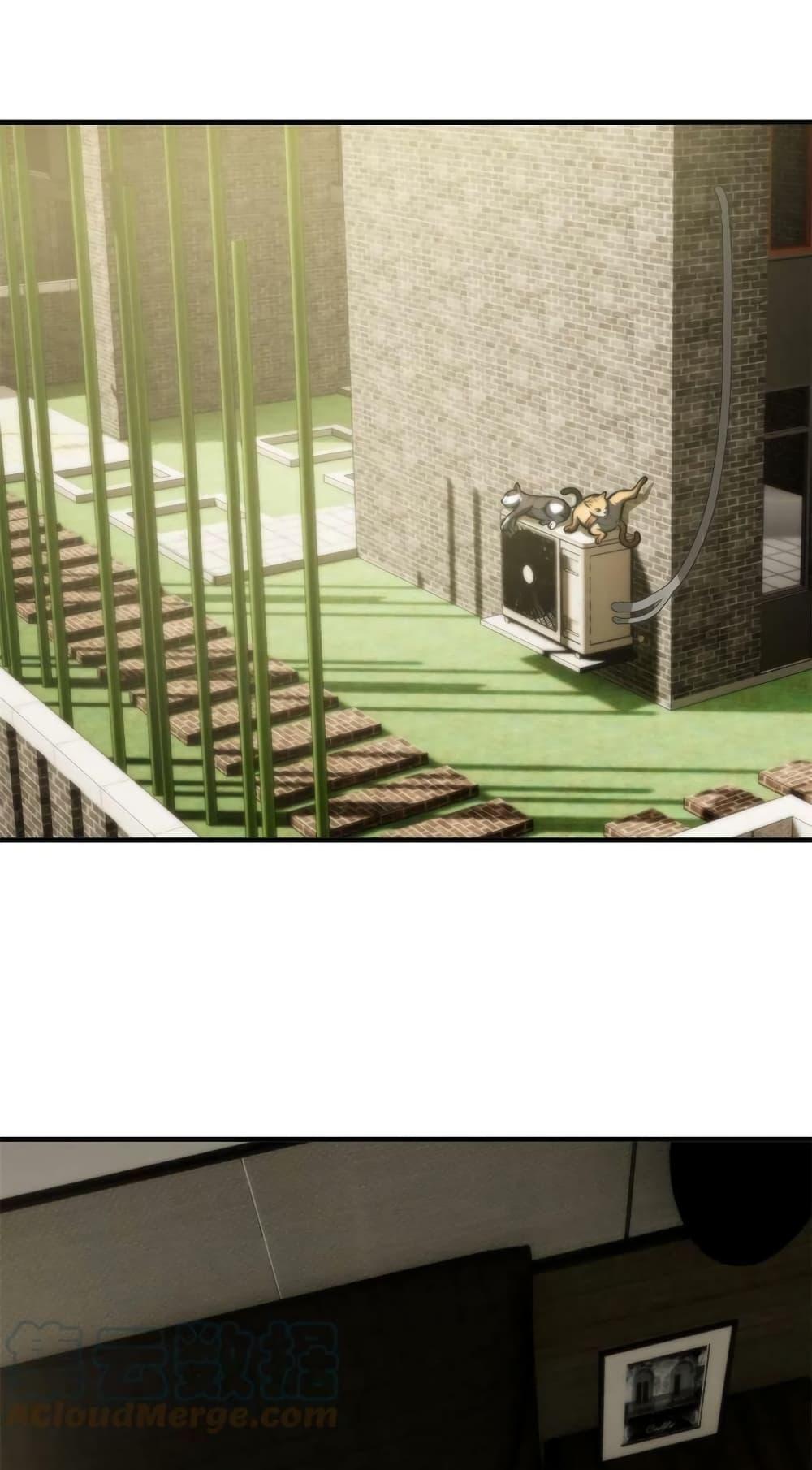 Manga-lc-com อ่านมังงะ อ่านการ์ตูน ออนไลน์ ฟรี Global Martial Arts ระบบจอมยุทธสุดโกงแห่งโลกคู่ขนาน ตอนที่ 1 2 3 4 5 6 7 8 9 10 11 12 13 14 ฟรี ไม่มีโฆษณา Manga-lc - อ่าน มังงะ อ่าน การ์ตูน ออนไลน์ อ่านมังงะ ฟรี