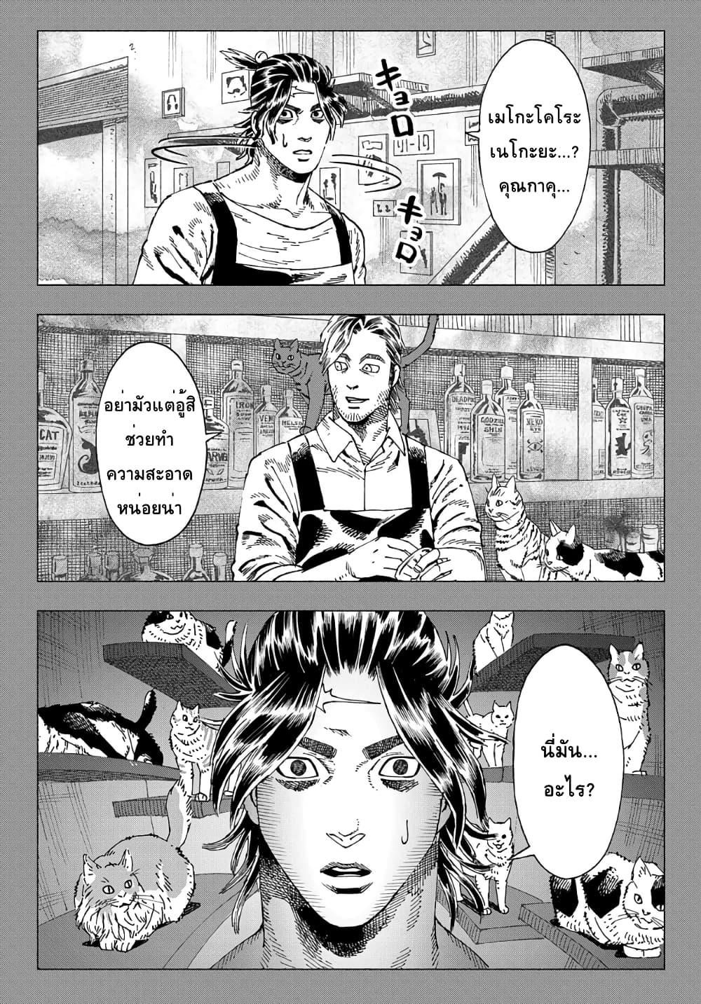 Manga-lc-com อ่านมังงะ อ่านการ์ตูน ออนไลน์ ฟรี Nyaight of the Living Cat ตอนที่ 1 2 3 4 5 6 7 8 9 10 11 12 13 14 ฟรี ไม่มีโฆษณา Manga-lc - อ่าน มังงะ อ่าน การ์ตูน ออนไลน์ อ่านมังงะ ฟรี