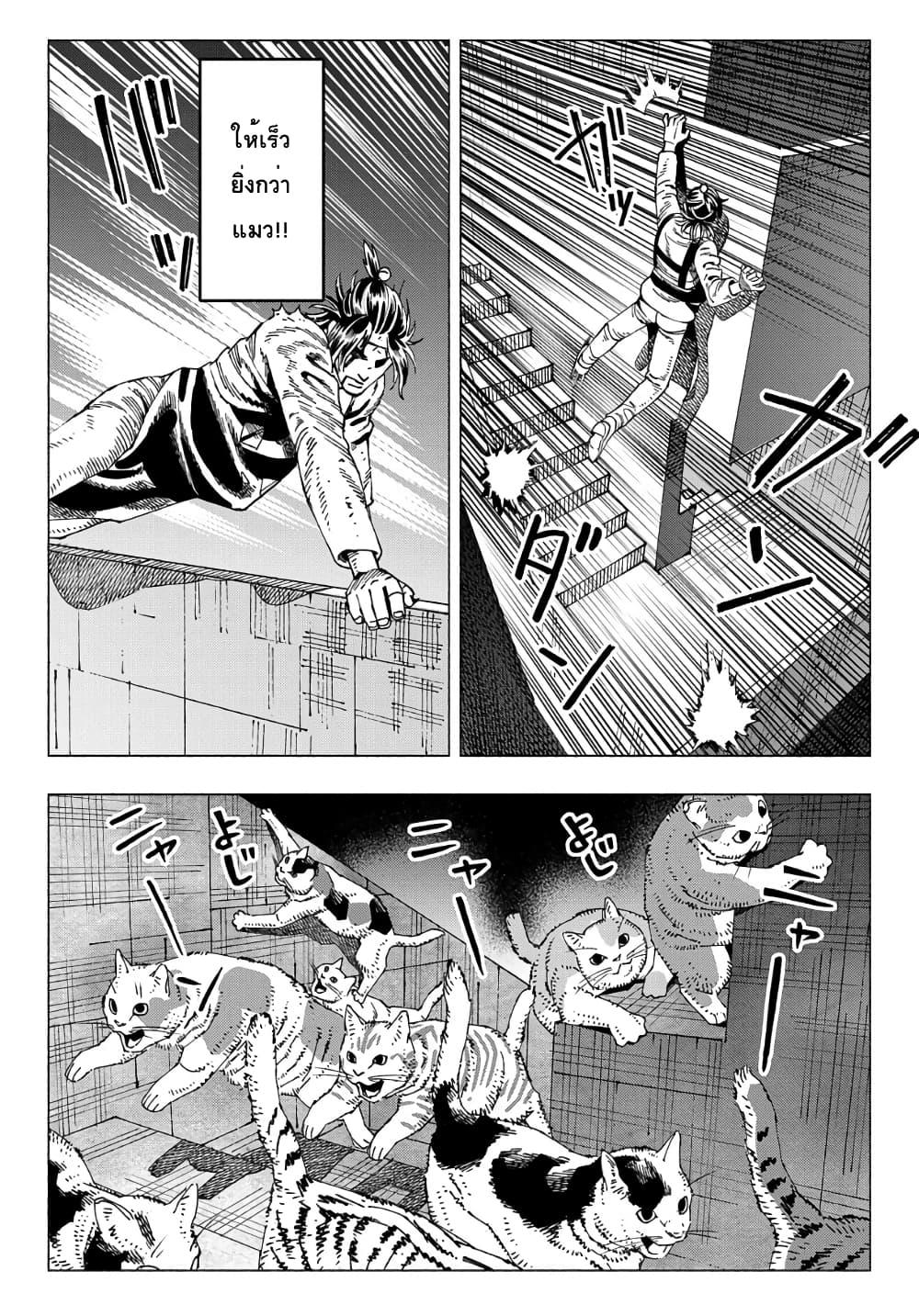 Manga-lc-com อ่านมังงะ อ่านการ์ตูน ออนไลน์ ฟรี Nyaight of the Living Cat ตอนที่ 1 2 3 4 5 6 7 8 9 10 11 12 13 14 ฟรี ไม่มีโฆษณา Manga-lc - อ่าน มังงะ อ่าน การ์ตูน ออนไลน์ อ่านมังงะ ฟรี