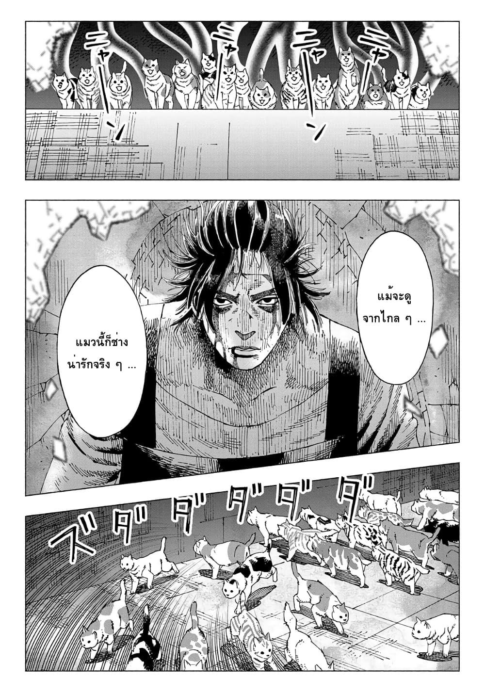 Manga-lc-com อ่านมังงะ อ่านการ์ตูน ออนไลน์ ฟรี Nyaight of the Living Cat ตอนที่ 1 2 3 4 5 6 7 8 9 10 11 12 13 14 ฟรี ไม่มีโฆษณา Manga-lc - อ่าน มังงะ อ่าน การ์ตูน ออนไลน์ อ่านมังงะ ฟรี