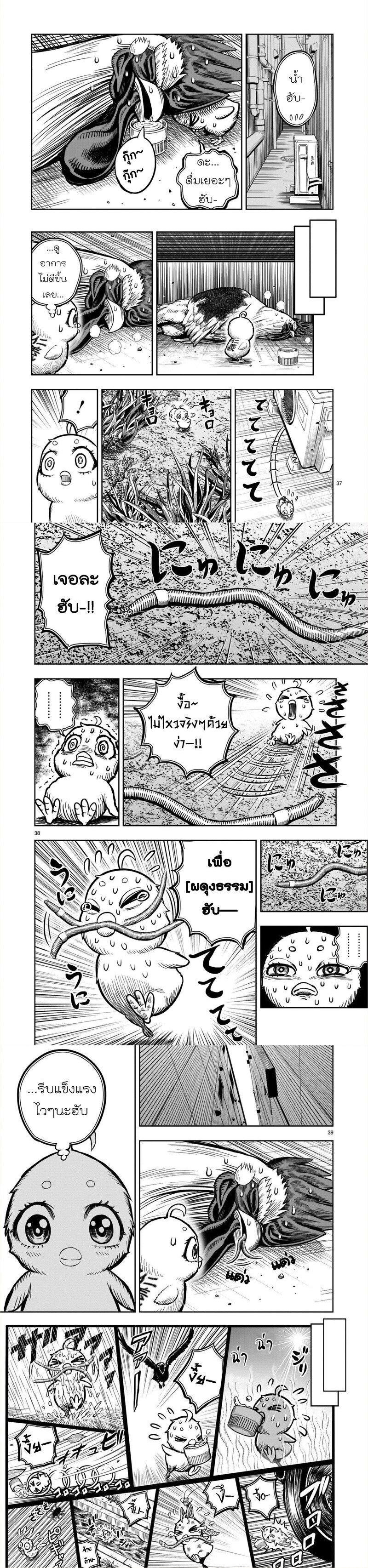 Manga-lc-com อ่านมังงะ อ่านการ์ตูน ออนไลน์ ฟรี Rooster Fighter ตอนที่ 1 2 3 4 5 6 7 8 9 10 11 12 13 14 ฟรี ไม่มีโฆษณา Manga-lc - อ่าน มังงะ อ่าน การ์ตูน ออนไลน์ อ่านมังงะ ฟรี