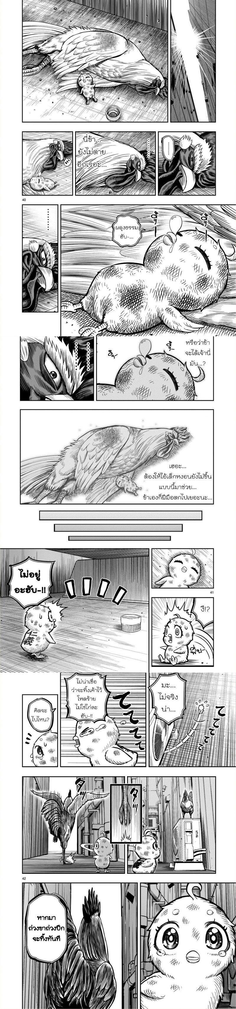 Manga-lc-com อ่านมังงะ อ่านการ์ตูน ออนไลน์ ฟรี Rooster Fighter ตอนที่ 1 2 3 4 5 6 7 8 9 10 11 12 13 14 ฟรี ไม่มีโฆษณา Manga-lc - อ่าน มังงะ อ่าน การ์ตูน ออนไลน์ อ่านมังงะ ฟรี