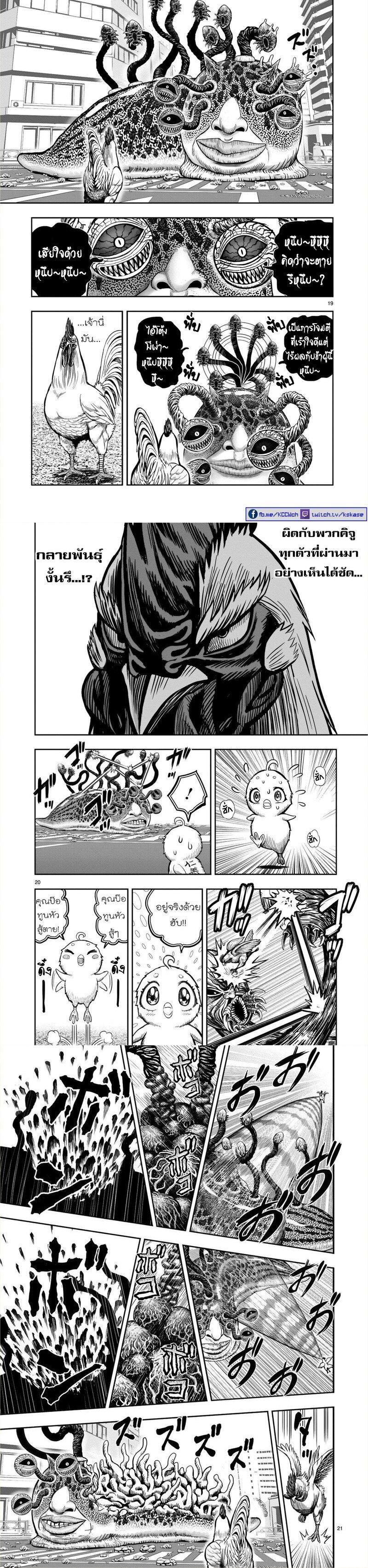 Manga-lc-com อ่านมังงะ อ่านการ์ตูน ออนไลน์ ฟรี Rooster Fighter ตอนที่ 1 2 3 4 5 6 7 8 9 10 11 12 13 14 ฟรี ไม่มีโฆษณา Manga-lc - อ่าน มังงะ อ่าน การ์ตูน ออนไลน์ อ่านมังงะ ฟรี