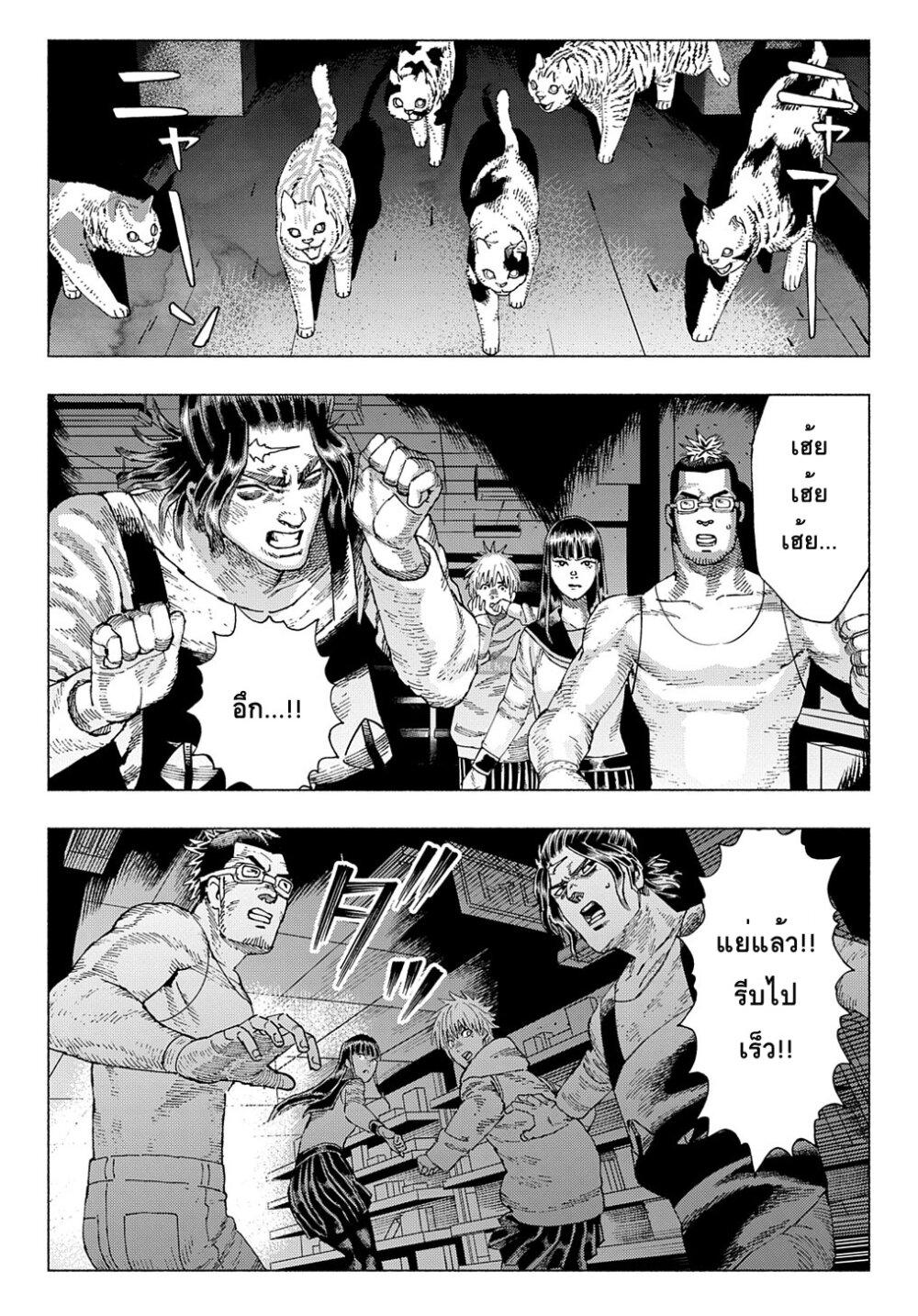Manga-lc-com อ่านมังงะ อ่านการ์ตูน ออนไลน์ ฟรี Nyaight of the Living Cat ตอนที่ 1 2 3 4 5 6 7 8 9 10 11 12 13 14 ฟรี ไม่มีโฆษณา Manga-lc - อ่าน มังงะ อ่าน การ์ตูน ออนไลน์ อ่านมังงะ ฟรี