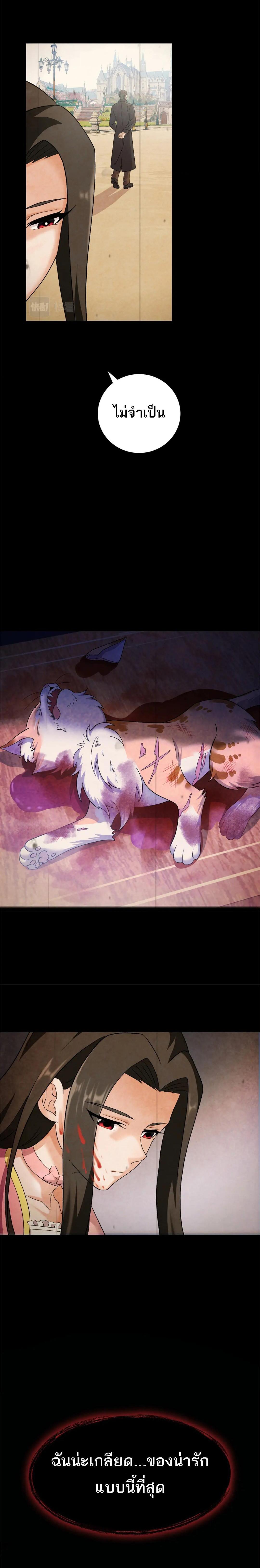 Manga-lc-com อ่านมังงะ อ่านการ์ตูน ออนไลน์ ฟรี Astral Pet Store ตอนที่ 1 2 3 4 5 6 7 8 9 10 11 12 13 14 ฟรี ไม่มีโฆษณา Manga-lc - อ่าน มังงะ อ่าน การ์ตูน ออนไลน์ อ่านมังงะ ฟรี