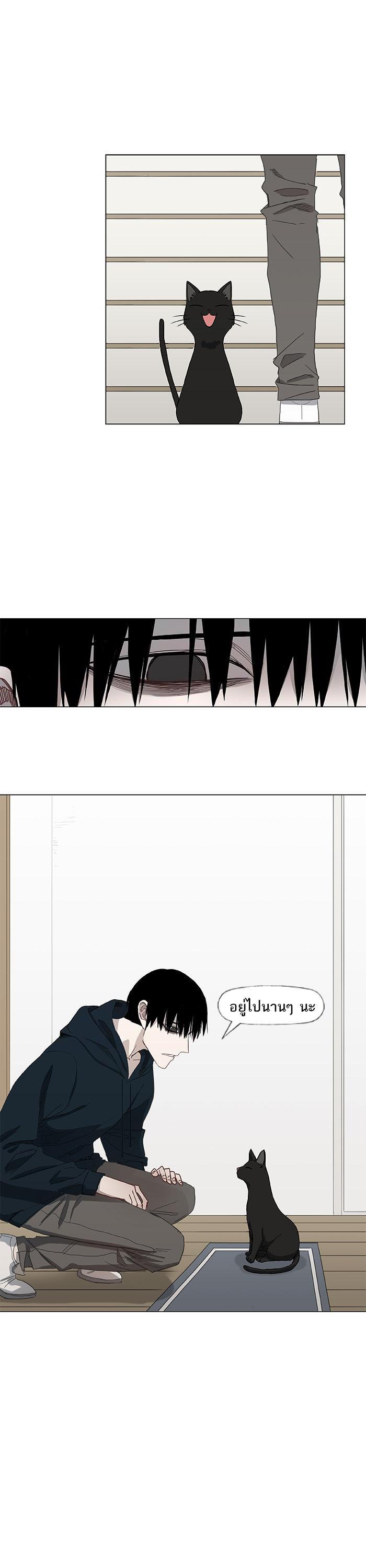 Manga-lc-com อ่านมังงะ อ่านการ์ตูน ออนไลน์ ฟรี The Boxer ตอนที่ 1 2 3 4 5 6 7 8 9 10 11 12 13 14 ฟรี ไม่มีโฆษณา Manga-lc - อ่าน มังงะ อ่าน การ์ตูน ออนไลน์ อ่านมังงะ ฟรี