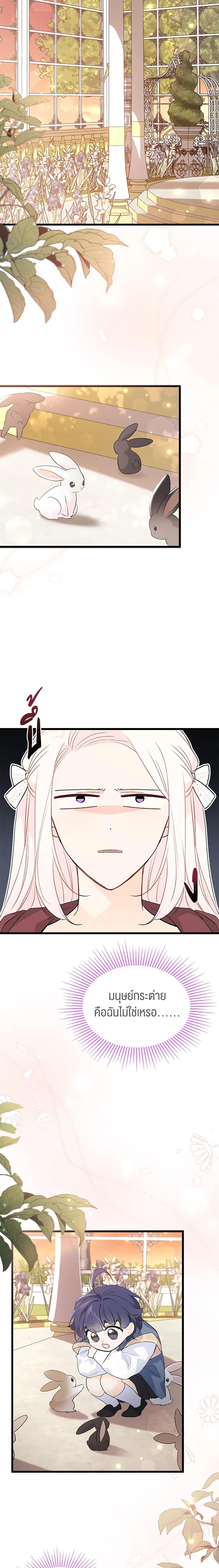 Manga-lc-com อ่านมังงะ อ่านการ์ตูน ออนไลน์ ฟรี The Symbiotic Relationship Between a Panther and a Rabbit ตอนที่ 1 2 3 4 5 6 7 8 9 10 11 12 13 14 ฟรี ไม่มีโฆษณา Manga-lc - อ่าน มังงะ อ่าน การ์ตูน ออนไลน์ อ่านมังงะ ฟรี