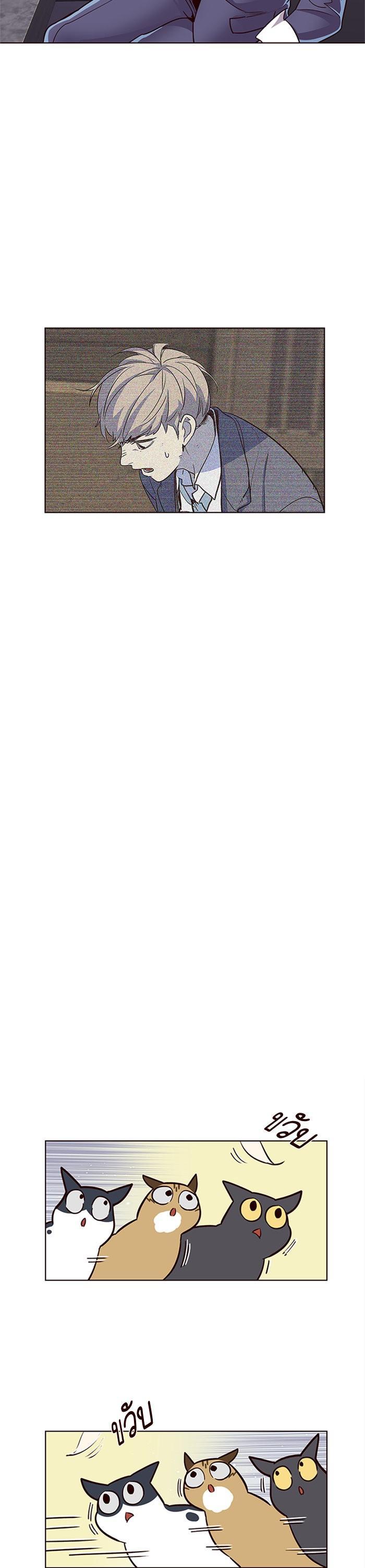 Manga-lc-com อ่านมังงะ อ่านการ์ตูน ออนไลน์ ฟรี Eleceed ตอนที่ 1 2 3 4 5 6 7 8 9 10 11 12 13 14 ฟรี ไม่มีโฆษณา Manga-lc - อ่าน มังงะ อ่าน การ์ตูน ออนไลน์ อ่านมังงะ ฟรี