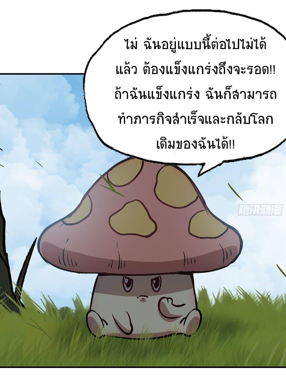 Manga-lc-com อ่านมังงะ อ่านการ์ตูน ออนไลน์ ฟรี Mushroom Brave ตอนที่ 1 2 3 4 5 6 7 8 9 10 11 12 13 14 ฟรี ไม่มีโฆษณา Manga-lc - อ่าน มังงะ อ่าน การ์ตูน ออนไลน์ อ่านมังงะ ฟรี
