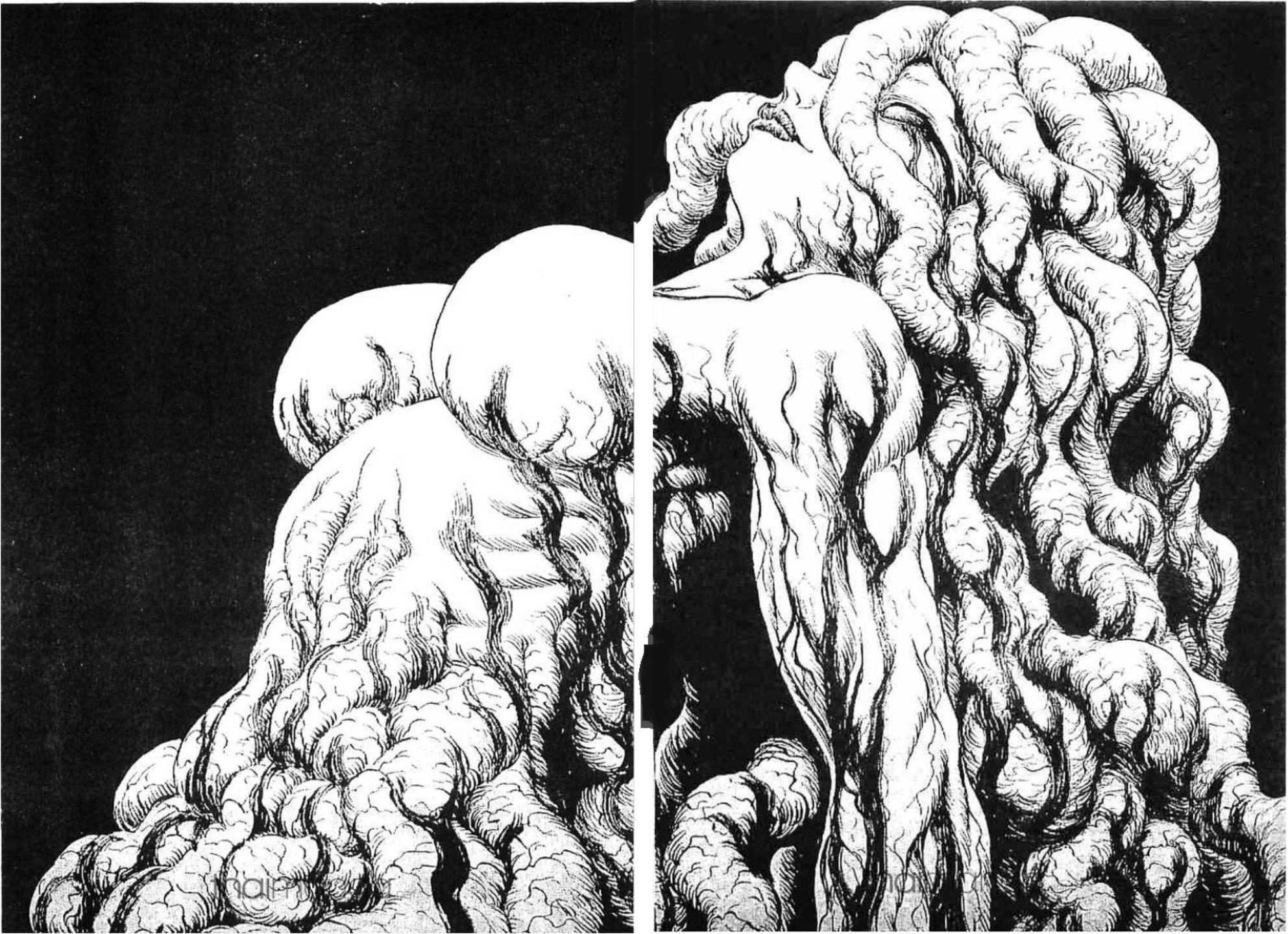 Manga-lc-com อ่านมังงะ อ่านการ์ตูน ออนไลน์ ฟรี Berserk ตอนที่ 1 2 3 4 5 6 7 8 9 10 11 12 13 14 ฟรี ไม่มีโฆษณา Manga-lc - อ่าน มังงะ อ่าน การ์ตูน ออนไลน์ อ่านมังงะ ฟรี