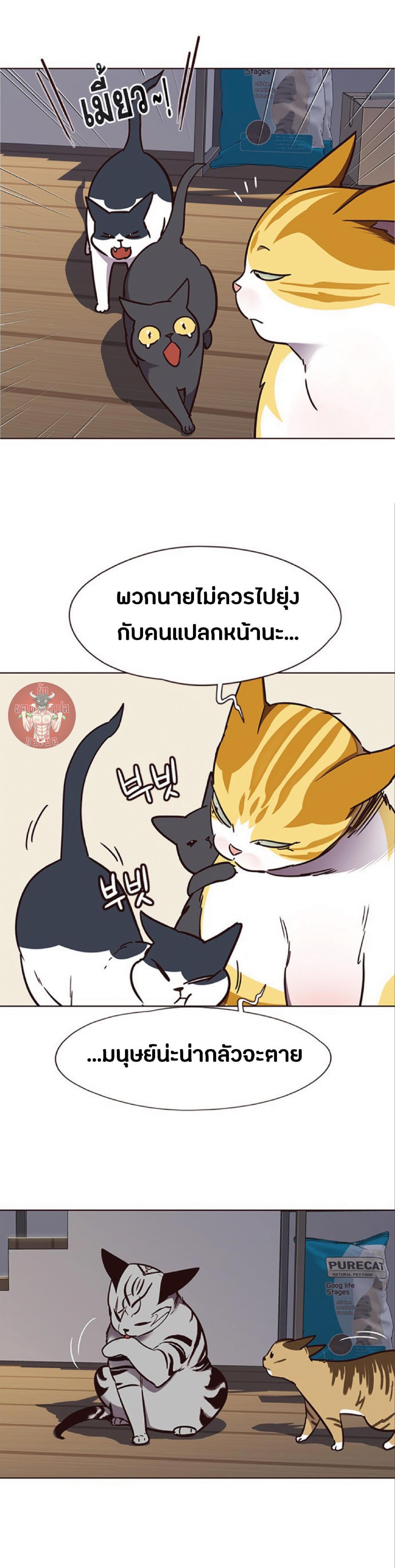 Manga-lc-com อ่านมังงะ อ่านการ์ตูน ออนไลน์ ฟรี Eleceed ตอนที่ 1 2 3 4 5 6 7 8 9 10 11 12 13 14 ฟรี ไม่มีโฆษณา Manga-lc - อ่าน มังงะ อ่าน การ์ตูน ออนไลน์ อ่านมังงะ ฟรี