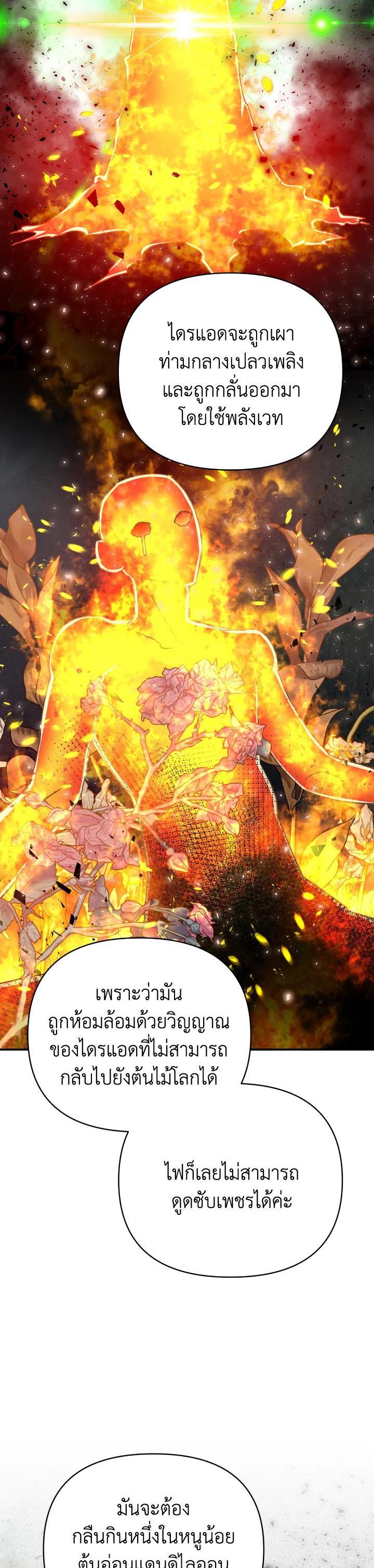 Manga-lc-com อ่านมังงะ อ่านการ์ตูน ออนไลน์ ฟรี Terrarium Adventure ตอนที่ 1 2 3 4 5 6 7 8 9 10 11 12 13 14 ฟรี ไม่มีโฆษณา Manga-lc - อ่าน มังงะ อ่าน การ์ตูน ออนไลน์ อ่านมังงะ ฟรี