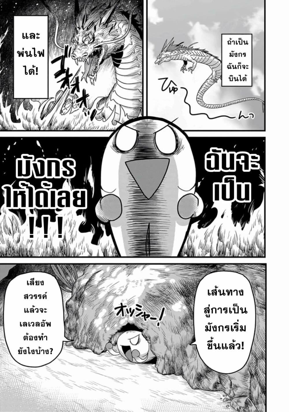 Manga-lc-com อ่านมังงะ อ่านการ์ตูน ออนไลน์ ฟรี Tensei Shitara Kozakana datta kedo Ryuu ni Nareru Rashii node Ganbarimasu ตอนที่ 1 2 3 4 5 6 7 8 9 10 11 12 13 14 ฟรี ไม่มีโฆษณา Manga-lc - อ่าน มังงะ อ่าน การ์ตูน ออนไลน์ อ่านมังงะ ฟรี