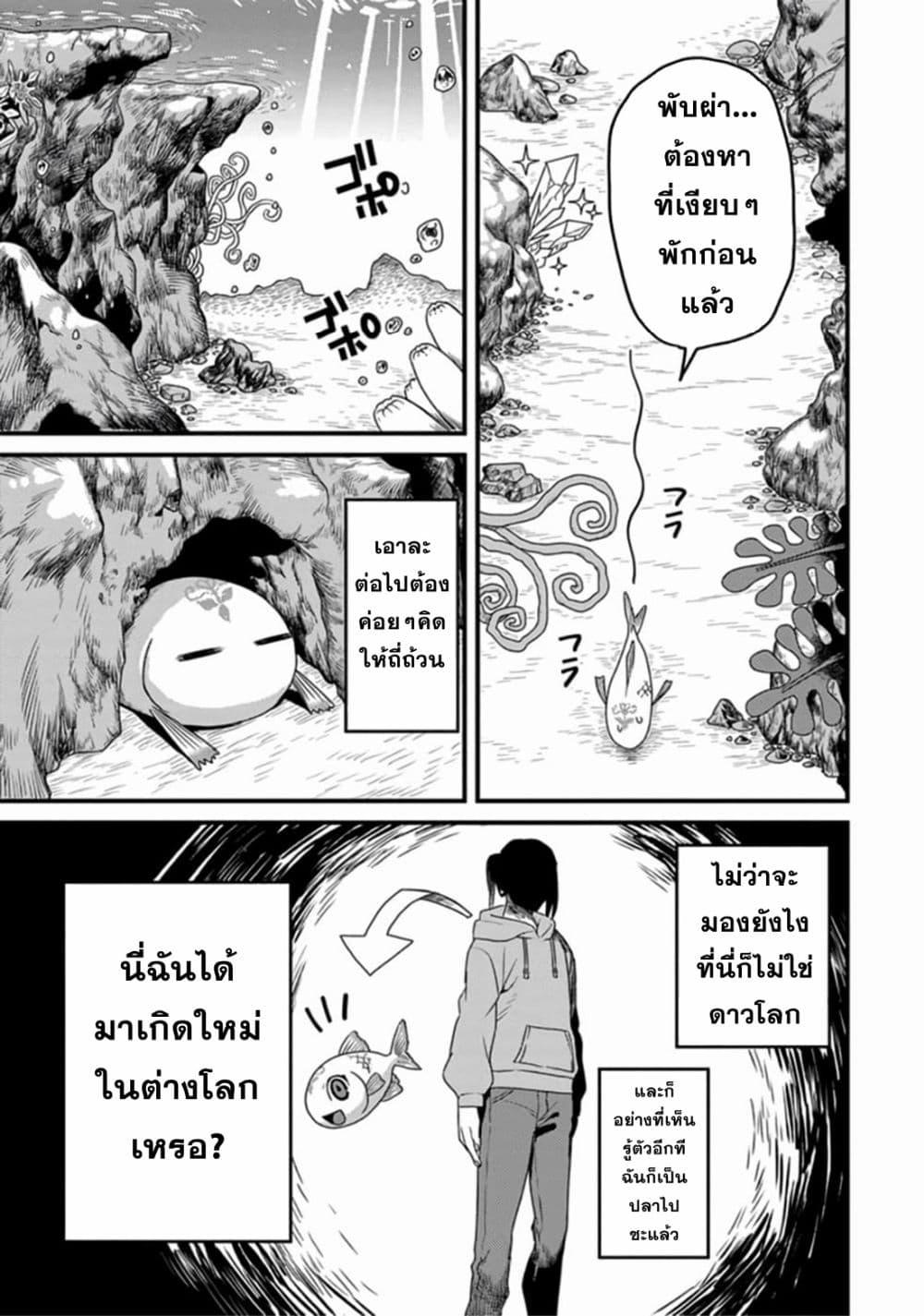 Manga-lc-com อ่านมังงะ อ่านการ์ตูน ออนไลน์ ฟรี Tensei Shitara Kozakana datta kedo Ryuu ni Nareru Rashii node Ganbarimasu ตอนที่ 1 2 3 4 5 6 7 8 9 10 11 12 13 14 ฟรี ไม่มีโฆษณา Manga-lc - อ่าน มังงะ อ่าน การ์ตูน ออนไลน์ อ่านมังงะ ฟรี