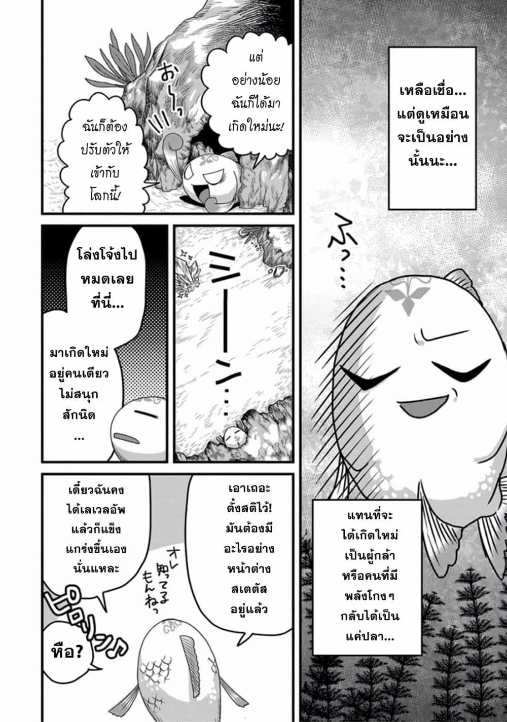 Manga-lc-com อ่านมังงะ อ่านการ์ตูน ออนไลน์ ฟรี Tensei Shitara Kozakana datta kedo Ryuu ni Nareru Rashii node Ganbarimasu ตอนที่ 1 2 3 4 5 6 7 8 9 10 11 12 13 14 ฟรี ไม่มีโฆษณา Manga-lc - อ่าน มังงะ อ่าน การ์ตูน ออนไลน์ อ่านมังงะ ฟรี