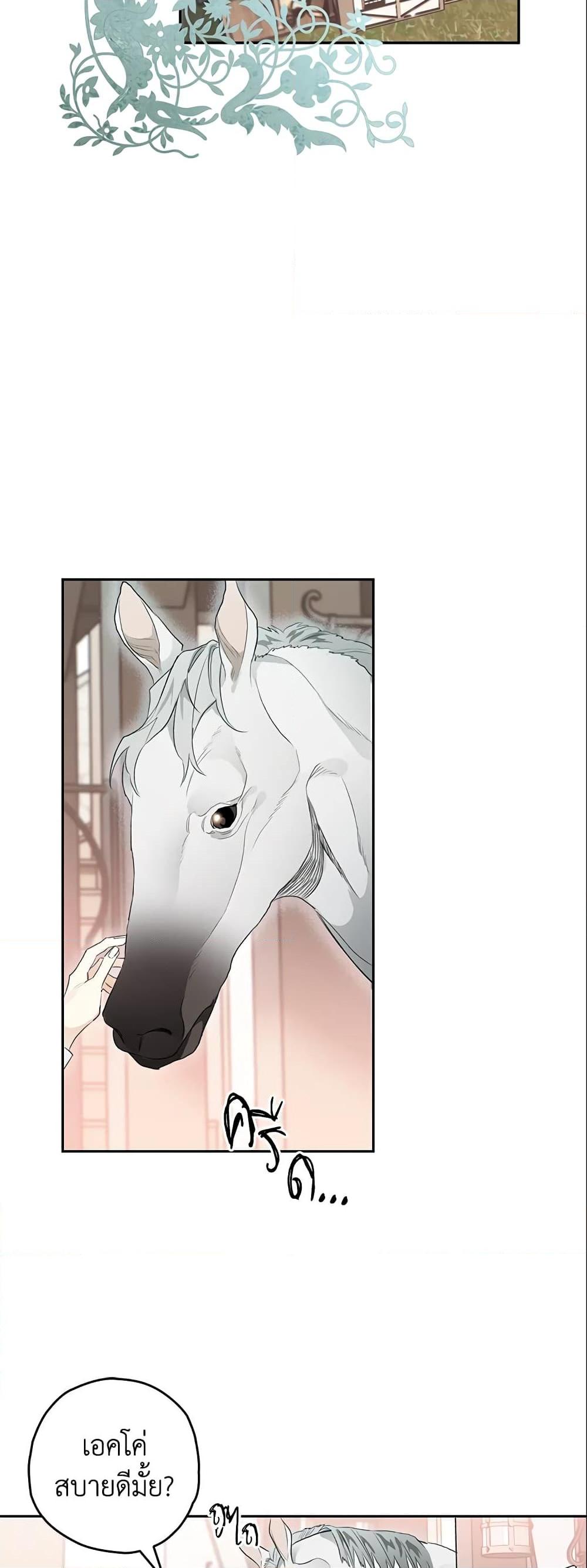 Manga-lc-com อ่านมังงะ อ่านการ์ตูน ออนไลน์ ฟรี Sigrid ตอนที่ 1 2 3 4 5 6 7 8 9 10 11 12 13 14 ฟรี ไม่มีโฆษณา Manga-lc - อ่าน มังงะ อ่าน การ์ตูน ออนไลน์ อ่านมังงะ ฟรี