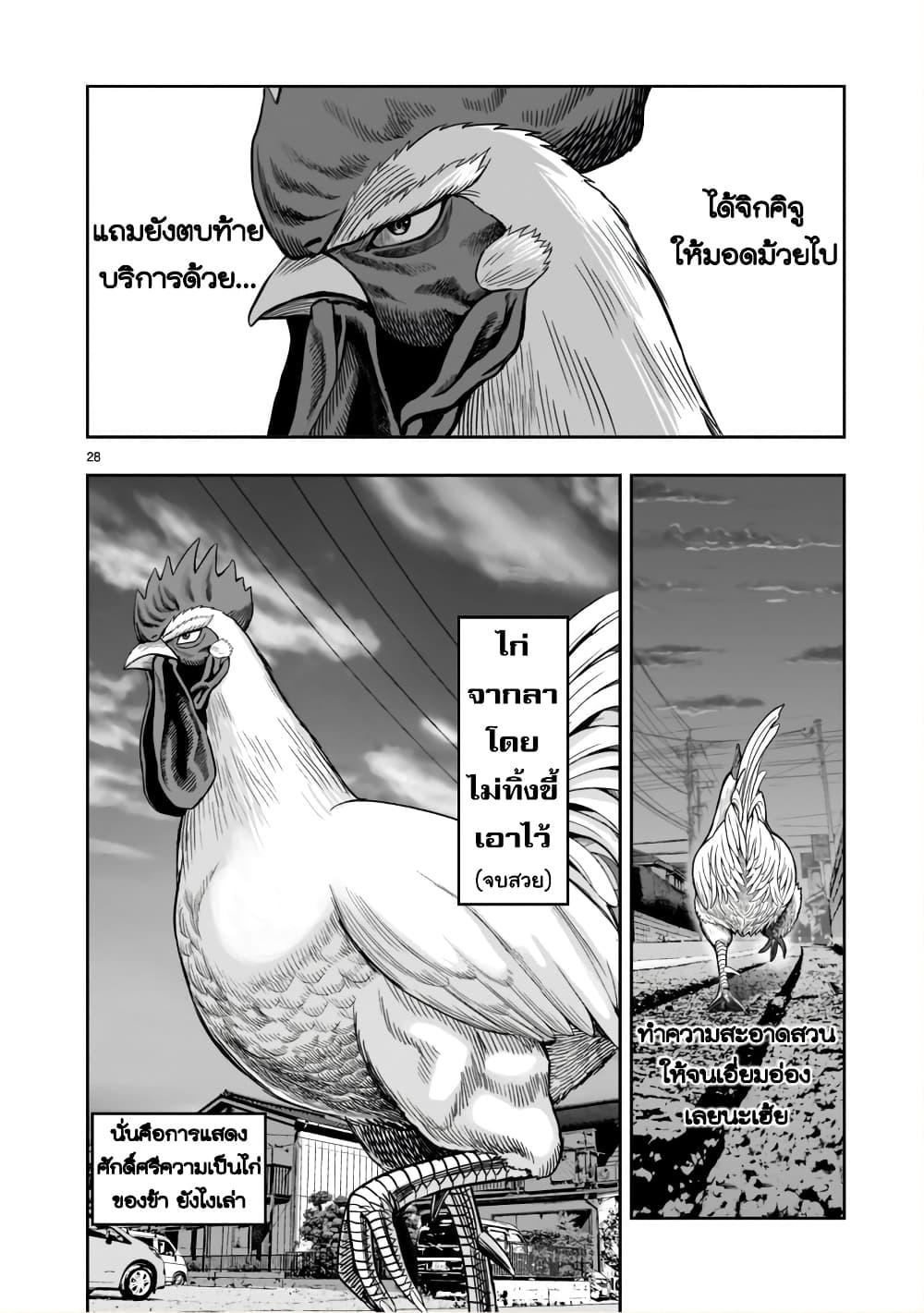 Manga-lc-com อ่านมังงะ อ่านการ์ตูน ออนไลน์ ฟรี Rooster Fighter ตอนที่ 1 2 3 4 5 6 7 8 9 10 11 12 13 14 ฟรี ไม่มีโฆษณา Manga-lc - อ่าน มังงะ อ่าน การ์ตูน ออนไลน์ อ่านมังงะ ฟรี