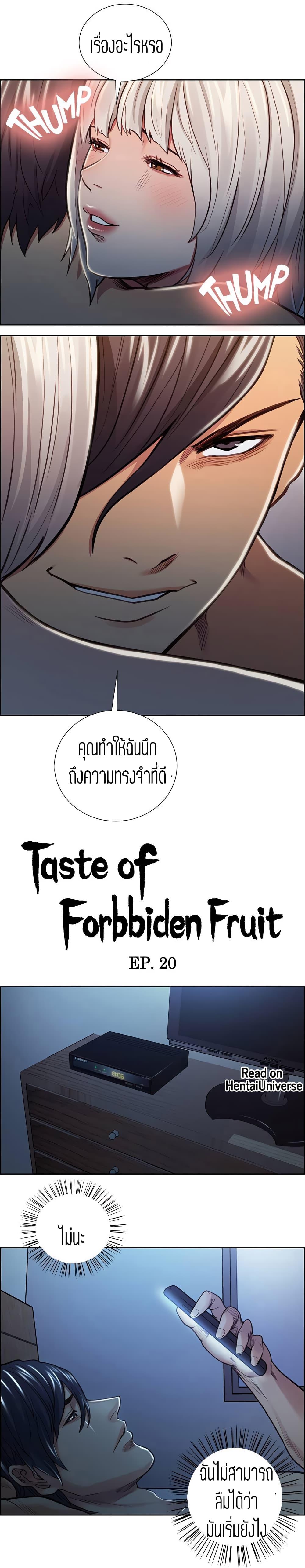 Doujin-Lc- อ่าน โดจิน มังฮวา เกาหลี ญี่ปุ่น จีน แปลไทย Taste of Forbidden Fruit ตอนที่ 1 2 3 4 5 6 7 8 9 10 11 12 13 14 ฟรี ไม่มีโฆษณา อ่าน โดจิน Manhwa เกาหลี ญี่ปุ่น จีน เรามีครบ คัดมาให้เน้นๆ โดจิน 18+ รับประกันความฟินโดย  Doujin Lc