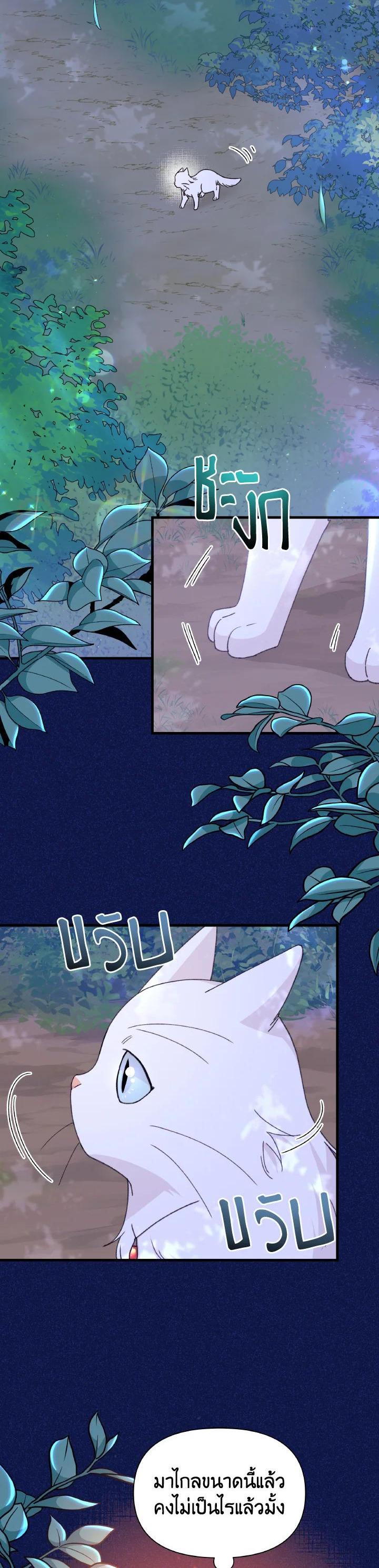 Manga-lc-com อ่านมังงะ อ่านการ์ตูน ออนไลน์ ฟรี The Rewards of Marriage ตอนที่ 1 2 3 4 5 6 7 8 9 10 11 12 13 14 ฟรี ไม่มีโฆษณา Manga-lc - อ่าน มังงะ อ่าน การ์ตูน ออนไลน์ อ่านมังงะ ฟรี