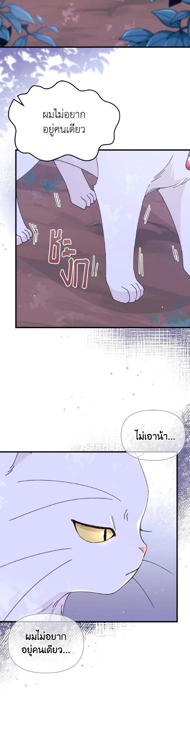 Manga-lc-com อ่านมังงะ อ่านการ์ตูน ออนไลน์ ฟรี The Rewards of Marriage ตอนที่ 1 2 3 4 5 6 7 8 9 10 11 12 13 14 ฟรี ไม่มีโฆษณา Manga-lc - อ่าน มังงะ อ่าน การ์ตูน ออนไลน์ อ่านมังงะ ฟรี