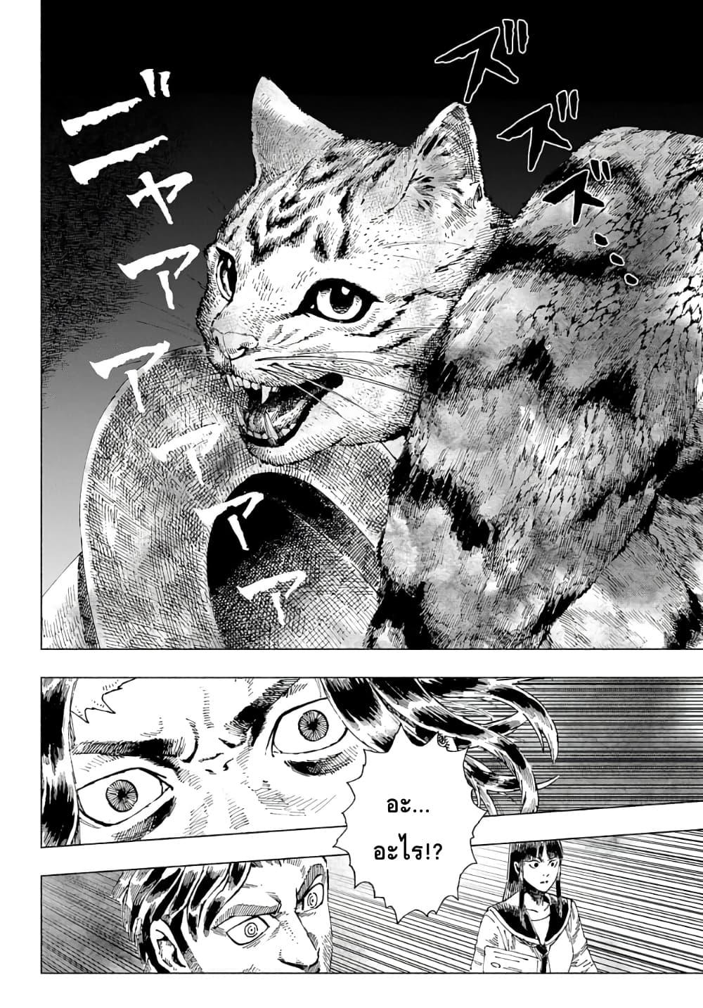 Manga-lc-com อ่านมังงะ อ่านการ์ตูน ออนไลน์ ฟรี Nyaight of the Living Cat ตอนที่ 1 2 3 4 5 6 7 8 9 10 11 12 13 14 ฟรี ไม่มีโฆษณา Manga-lc - อ่าน มังงะ อ่าน การ์ตูน ออนไลน์ อ่านมังงะ ฟรี