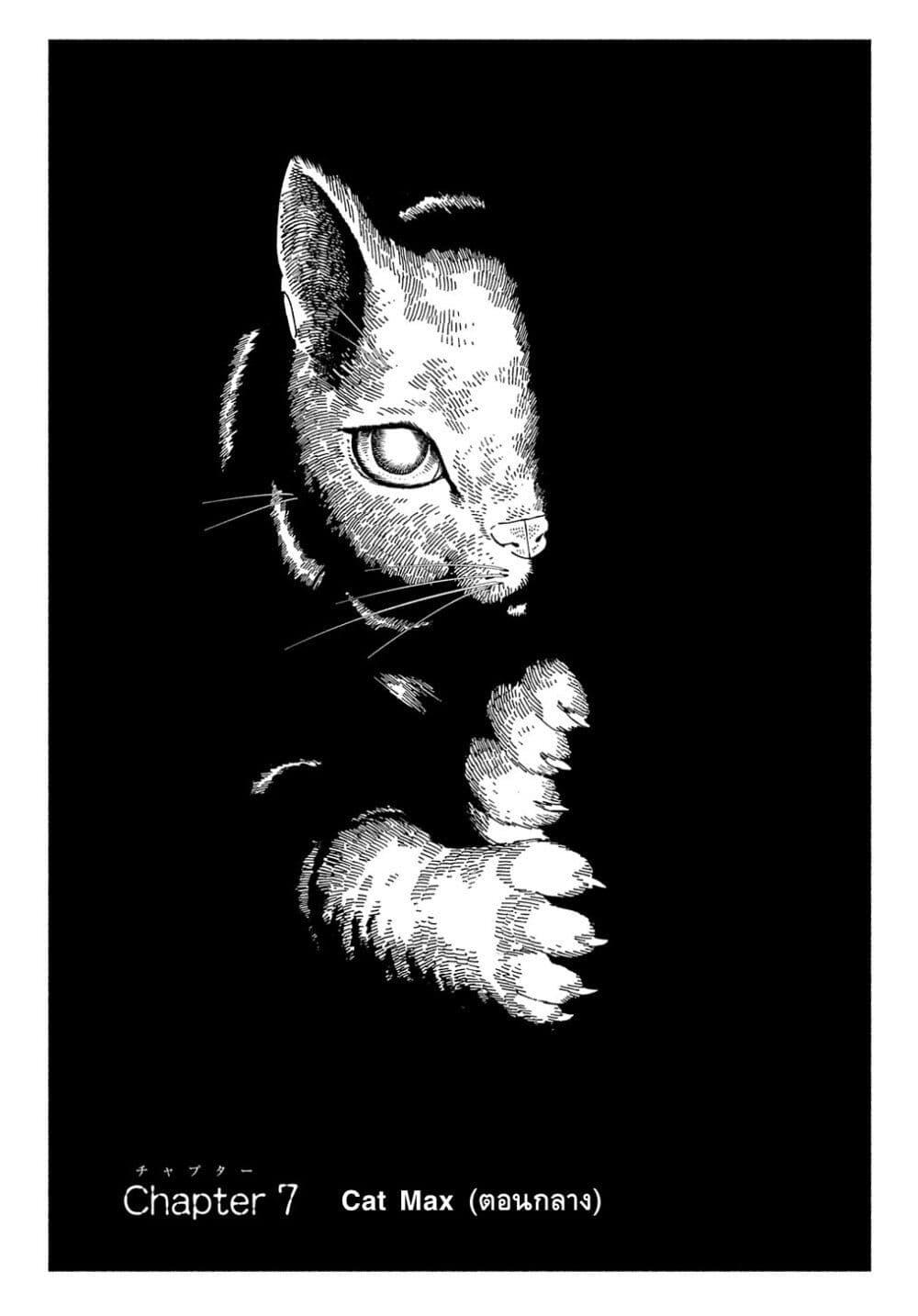 Manga-lc-com อ่านมังงะ อ่านการ์ตูน ออนไลน์ ฟรี Nyaight of the Living Cat ตอนที่ 1 2 3 4 5 6 7 8 9 10 11 12 13 14 ฟรี ไม่มีโฆษณา Manga-lc - อ่าน มังงะ อ่าน การ์ตูน ออนไลน์ อ่านมังงะ ฟรี
