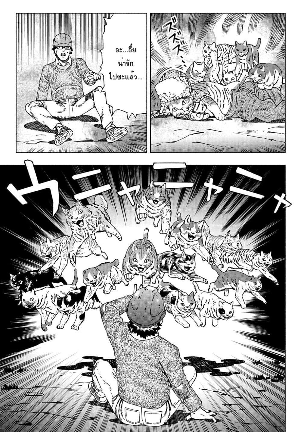 Manga-lc-com อ่านมังงะ อ่านการ์ตูน ออนไลน์ ฟรี Nyaight of the Living Cat ตอนที่ 1 2 3 4 5 6 7 8 9 10 11 12 13 14 ฟรี ไม่มีโฆษณา Manga-lc - อ่าน มังงะ อ่าน การ์ตูน ออนไลน์ อ่านมังงะ ฟรี