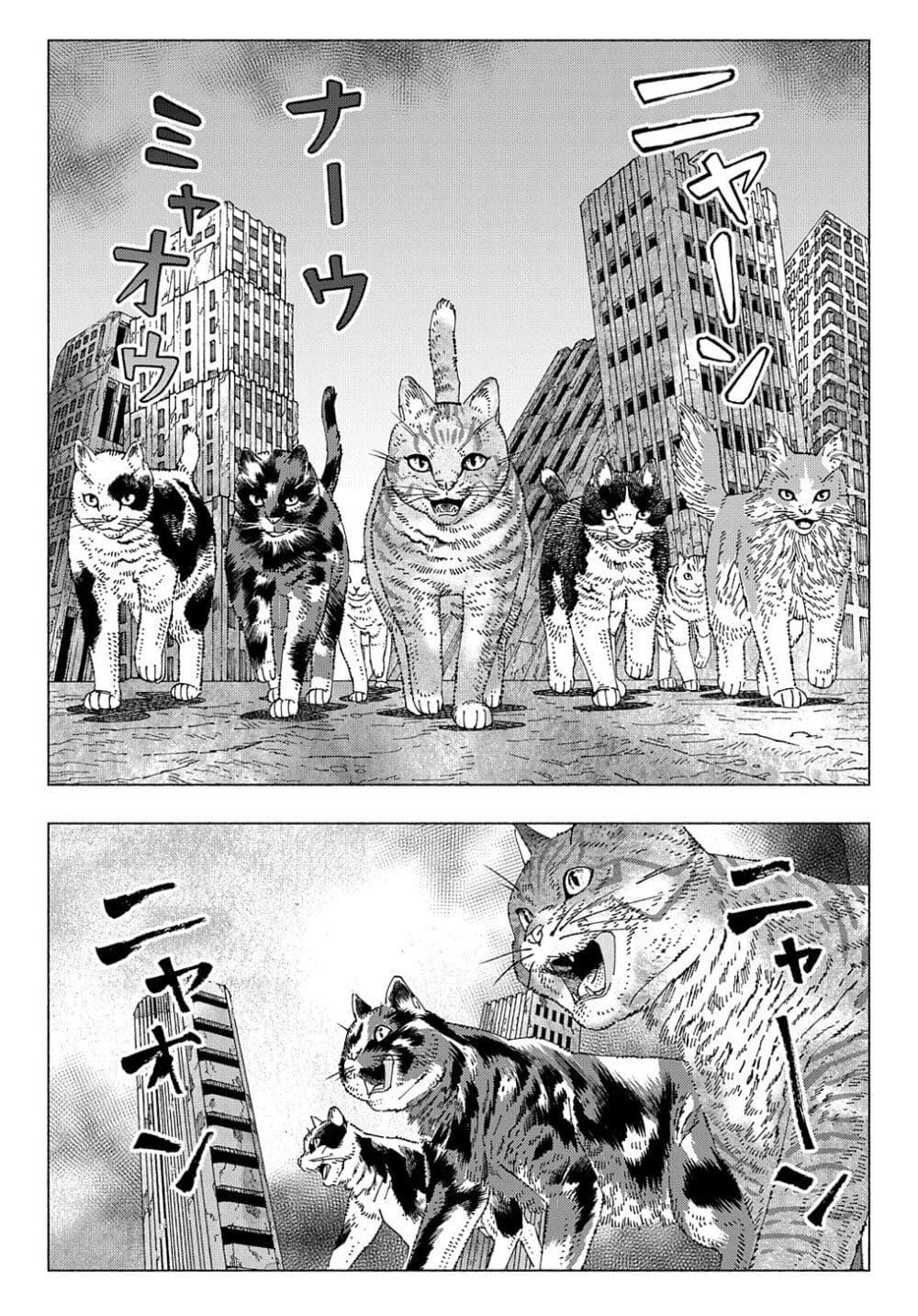 Manga-lc-com อ่านมังงะ อ่านการ์ตูน ออนไลน์ ฟรี Nyaight of the Living Cat ตอนที่ 1 2 3 4 5 6 7 8 9 10 11 12 13 14 ฟรี ไม่มีโฆษณา Manga-lc - อ่าน มังงะ อ่าน การ์ตูน ออนไลน์ อ่านมังงะ ฟรี