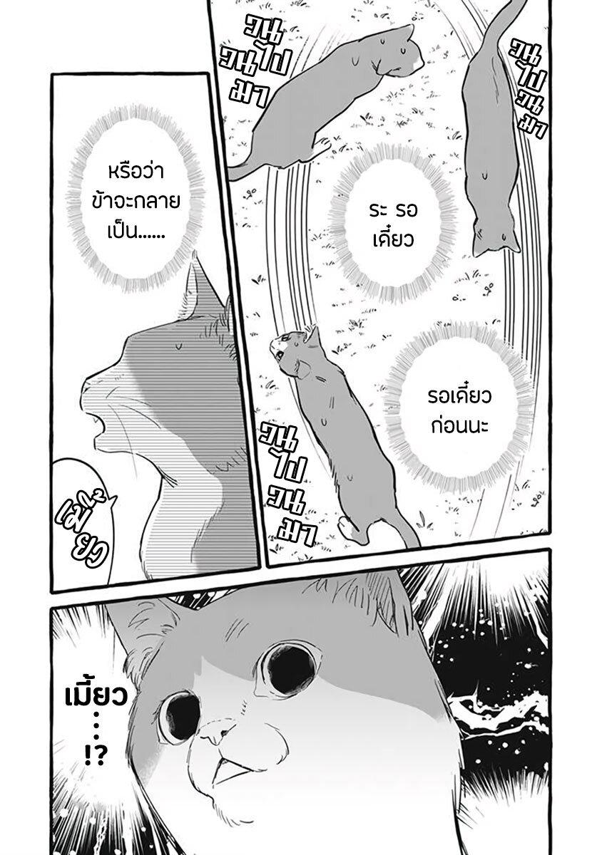 Manga-lc-com อ่านมังงะ อ่านการ์ตูน ออนไลน์ ฟรี Einen Koyou wa Kanou Deshou ka ~Buaisou Mukuchi na Mahou Tsukai to Hajimeru Sai Shuushoku Life~ ตอนที่ 1 2 3 4 5 6 7 8 9 10 11 12 13 14 ฟรี ไม่มีโฆษณา Manga-lc - อ่าน มังงะ อ่าน การ์ตูน ออนไลน์ อ่านมังงะ ฟรี