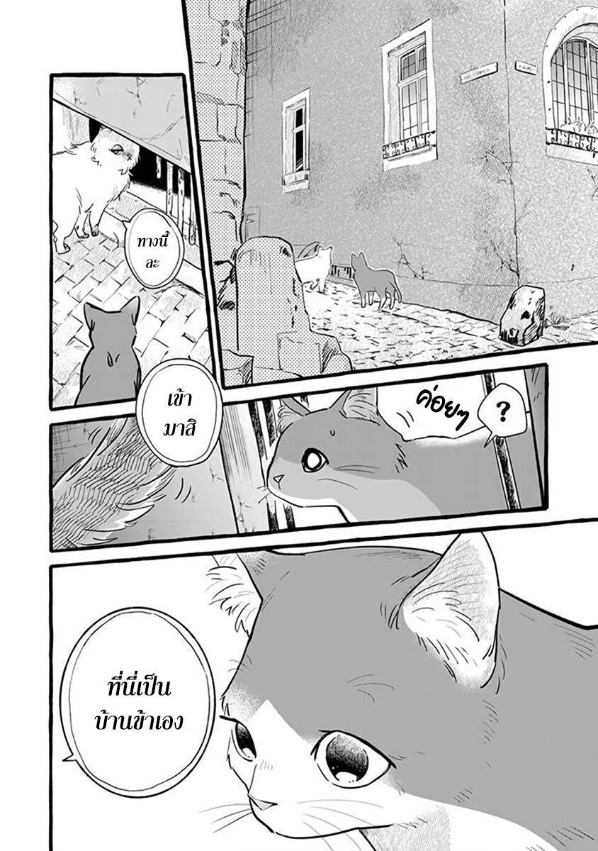 Manga-lc-com อ่านมังงะ อ่านการ์ตูน ออนไลน์ ฟรี Einen Koyou wa Kanou Deshou ka ~Buaisou Mukuchi na Mahou Tsukai to Hajimeru Sai Shuushoku Life~ ตอนที่ 1 2 3 4 5 6 7 8 9 10 11 12 13 14 ฟรี ไม่มีโฆษณา Manga-lc - อ่าน มังงะ อ่าน การ์ตูน ออนไลน์ อ่านมังงะ ฟรี