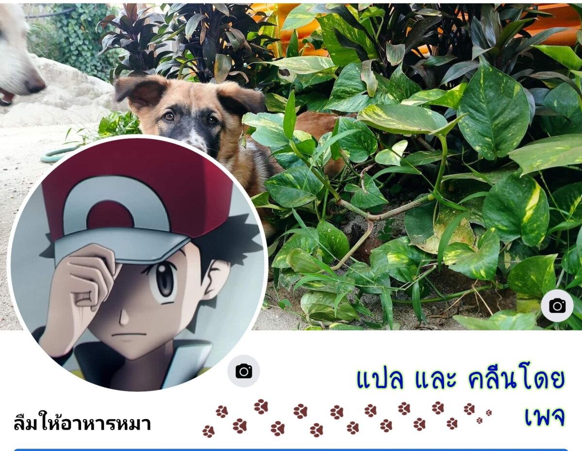 Manga-lc-com อ่านมังงะ อ่านการ์ตูน ออนไลน์ ฟรี Itomo Tayasuku Okonawareru Juusansai ga Ikiru Tame no Oshigoto ตอนที่ 1 2 3 4 5 6 7 8 9 10 11 12 13 14 ฟรี ไม่มีโฆษณา Manga-lc - อ่าน มังงะ อ่าน การ์ตูน ออนไลน์ อ่านมังงะ ฟรี