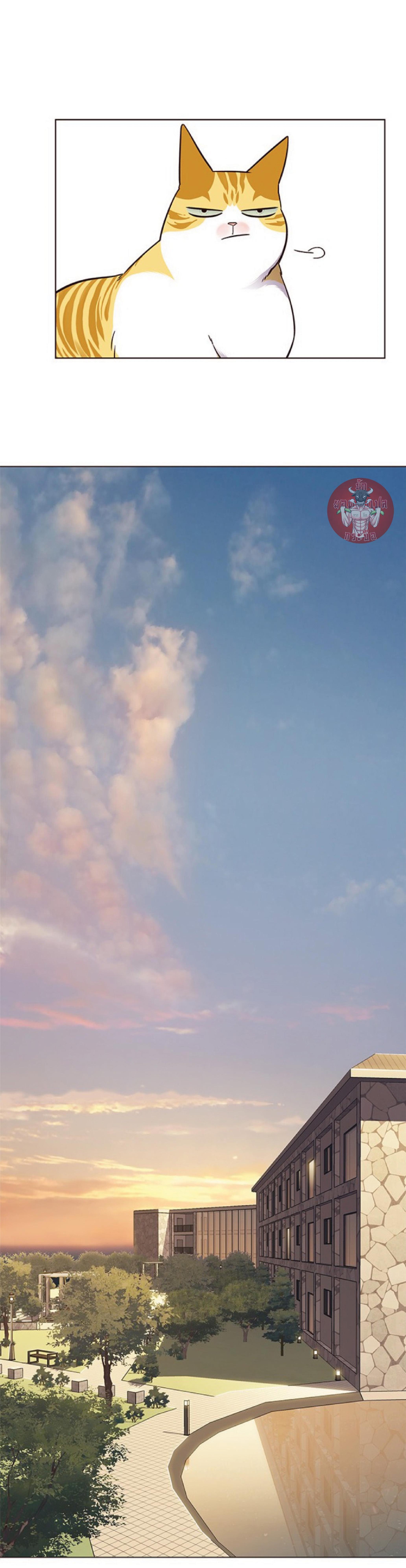 Manga-lc-com อ่านมังงะ อ่านการ์ตูน ออนไลน์ ฟรี Eleceed ตอนที่ 1 2 3 4 5 6 7 8 9 10 11 12 13 14 ฟรี ไม่มีโฆษณา Manga-lc - อ่าน มังงะ อ่าน การ์ตูน ออนไลน์ อ่านมังงะ ฟรี