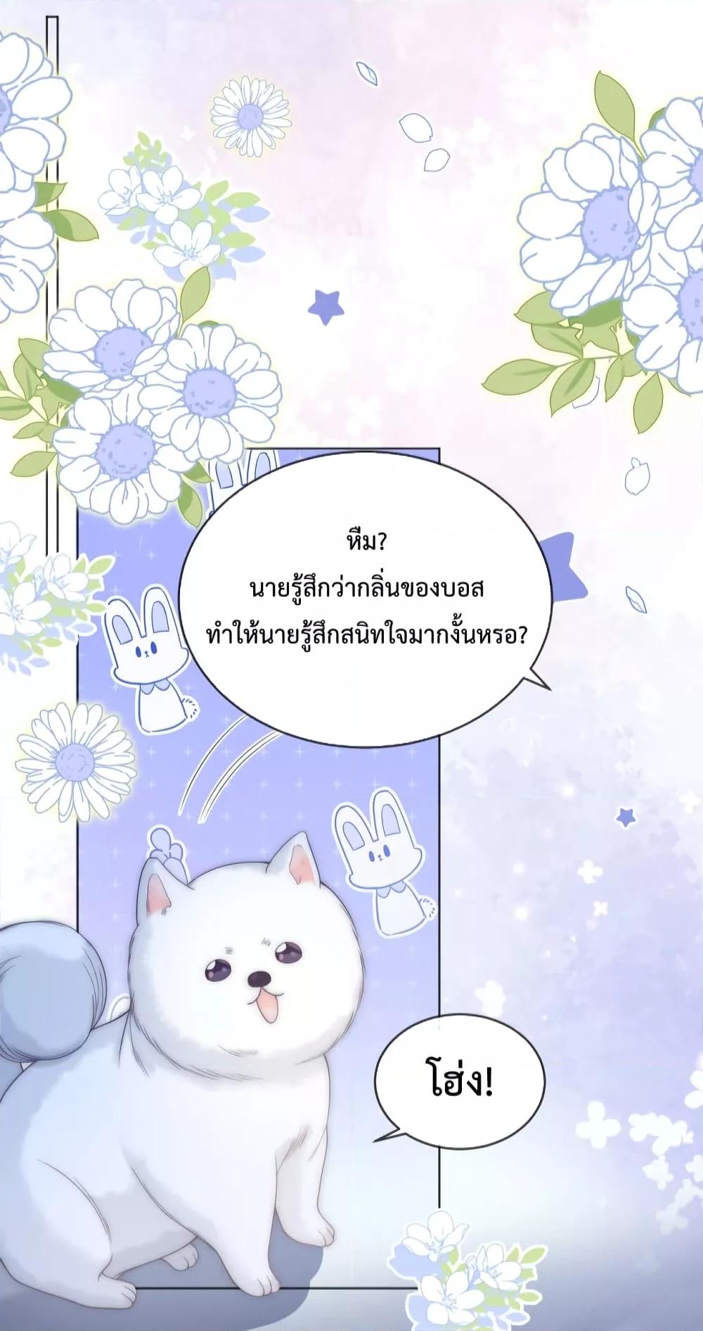 Manga-lc-com อ่านมังงะ อ่านการ์ตูน ออนไลน์ ฟรี TheQueenRetur ตอนที่ 1 2 3 4 5 6 7 8 9 10 11 12 13 14 ฟรี ไม่มีโฆษณา Manga-lc - อ่าน มังงะ อ่าน การ์ตูน ออนไลน์ อ่านมังงะ ฟรี