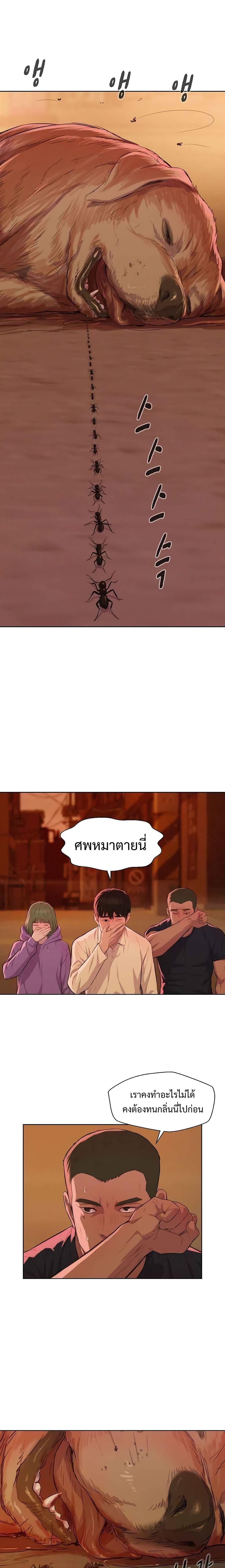 Manga-lc-com อ่านมังงะ อ่านการ์ตูน ออนไลน์ ฟรี 3CM Hunter ตอนที่ 1 2 3 4 5 6 7 8 9 10 11 12 13 14 ฟรี ไม่มีโฆษณา Manga-lc - อ่าน มังงะ อ่าน การ์ตูน ออนไลน์ อ่านมังงะ ฟรี