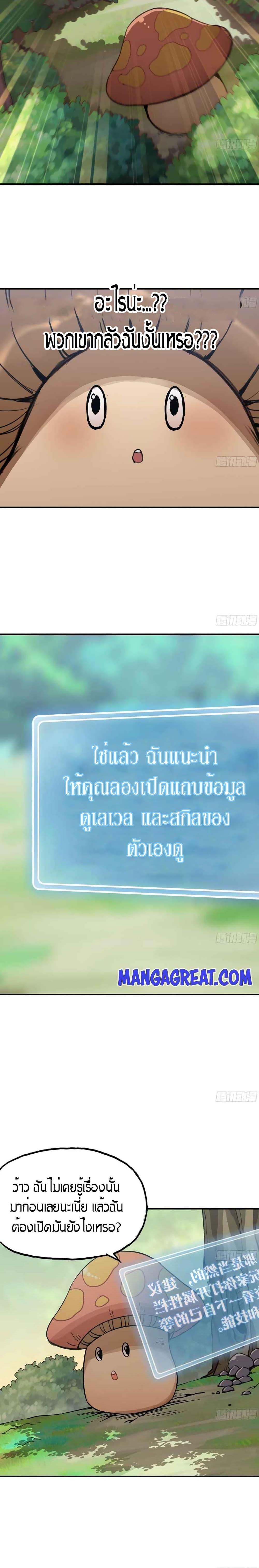 Manga-lc-com อ่านมังงะ อ่านการ์ตูน ออนไลน์ ฟรี Mushroom Brave ตอนที่ 1 2 3 4 5 6 7 8 9 10 11 12 13 14 ฟรี ไม่มีโฆษณา Manga-lc - อ่าน มังงะ อ่าน การ์ตูน ออนไลน์ อ่านมังงะ ฟรี