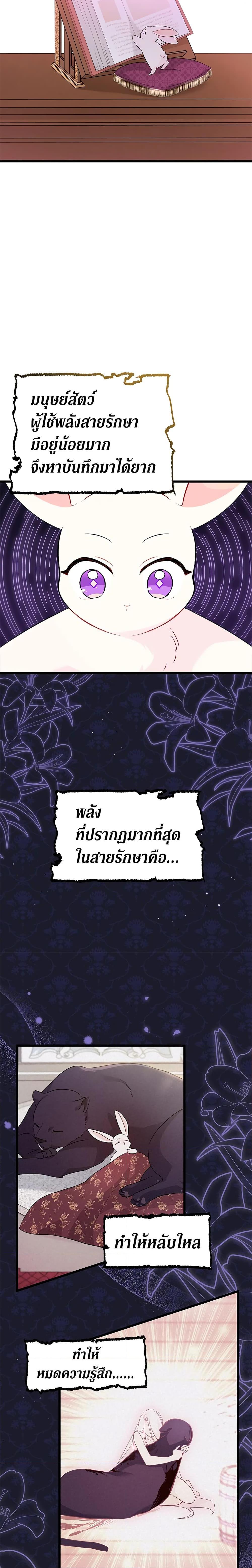 Manga-lc-com อ่านมังงะ อ่านการ์ตูน ออนไลน์ ฟรี The Symbiotic Relationship Between a Panther and a Rabbit ตอนที่ 1 2 3 4 5 6 7 8 9 10 11 12 13 14 ฟรี ไม่มีโฆษณา Manga-lc - อ่าน มังงะ อ่าน การ์ตูน ออนไลน์ อ่านมังงะ ฟรี