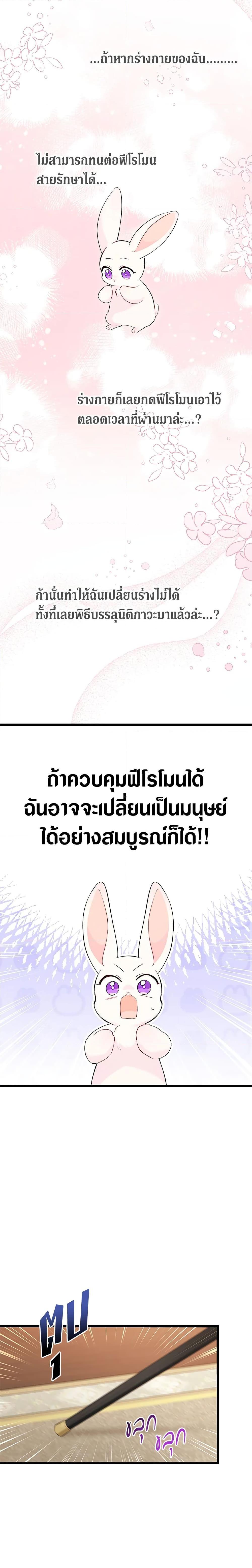 Manga-lc-com อ่านมังงะ อ่านการ์ตูน ออนไลน์ ฟรี The Symbiotic Relationship Between a Panther and a Rabbit ตอนที่ 1 2 3 4 5 6 7 8 9 10 11 12 13 14 ฟรี ไม่มีโฆษณา Manga-lc - อ่าน มังงะ อ่าน การ์ตูน ออนไลน์ อ่านมังงะ ฟรี