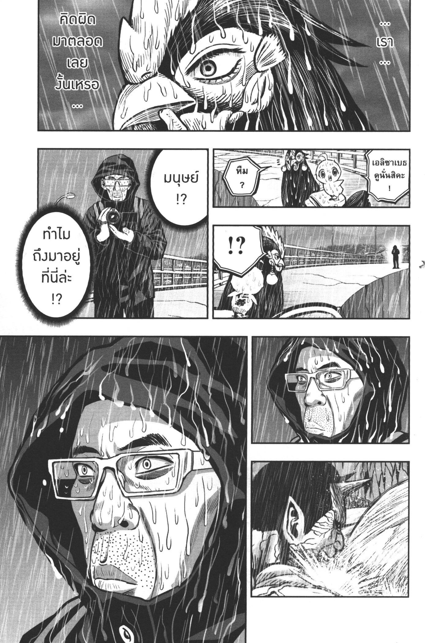 Manga-lc-com อ่านมังงะ อ่านการ์ตูน ออนไลน์ ฟรี Rooster Fighter ตอนที่ 1 2 3 4 5 6 7 8 9 10 11 12 13 14 ฟรี ไม่มีโฆษณา Manga-lc - อ่าน มังงะ อ่าน การ์ตูน ออนไลน์ อ่านมังงะ ฟรี