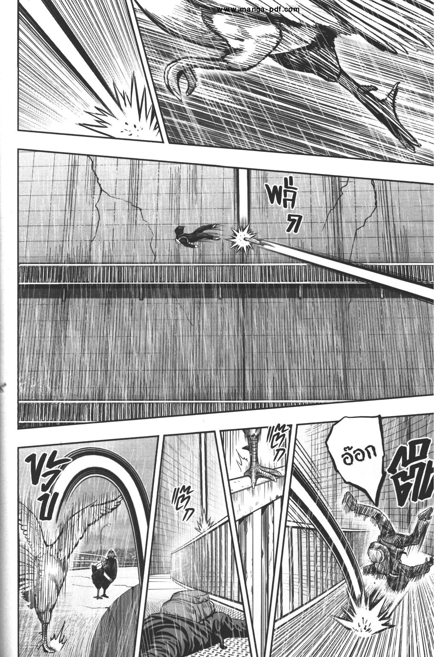 Manga-lc-com อ่านมังงะ อ่านการ์ตูน ออนไลน์ ฟรี Rooster Fighter ตอนที่ 1 2 3 4 5 6 7 8 9 10 11 12 13 14 ฟรี ไม่มีโฆษณา Manga-lc - อ่าน มังงะ อ่าน การ์ตูน ออนไลน์ อ่านมังงะ ฟรี