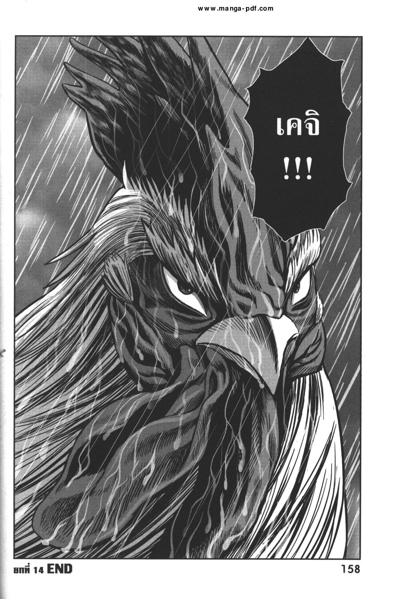 Manga-lc-com อ่านมังงะ อ่านการ์ตูน ออนไลน์ ฟรี Rooster Fighter ตอนที่ 1 2 3 4 5 6 7 8 9 10 11 12 13 14 ฟรี ไม่มีโฆษณา Manga-lc - อ่าน มังงะ อ่าน การ์ตูน ออนไลน์ อ่านมังงะ ฟรี