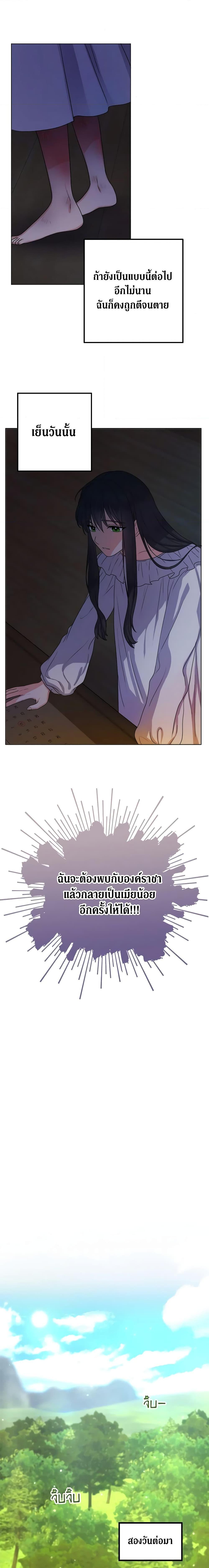 Manga-lc-com อ่านมังงะ อ่านการ์ตูน ออนไลน์ ฟรี From Maid to Queen ตอนที่ 1 2 3 4 5 6 7 8 9 10 11 12 13 14 ฟรี ไม่มีโฆษณา Manga-lc - อ่าน มังงะ อ่าน การ์ตูน ออนไลน์ อ่านมังงะ ฟรี