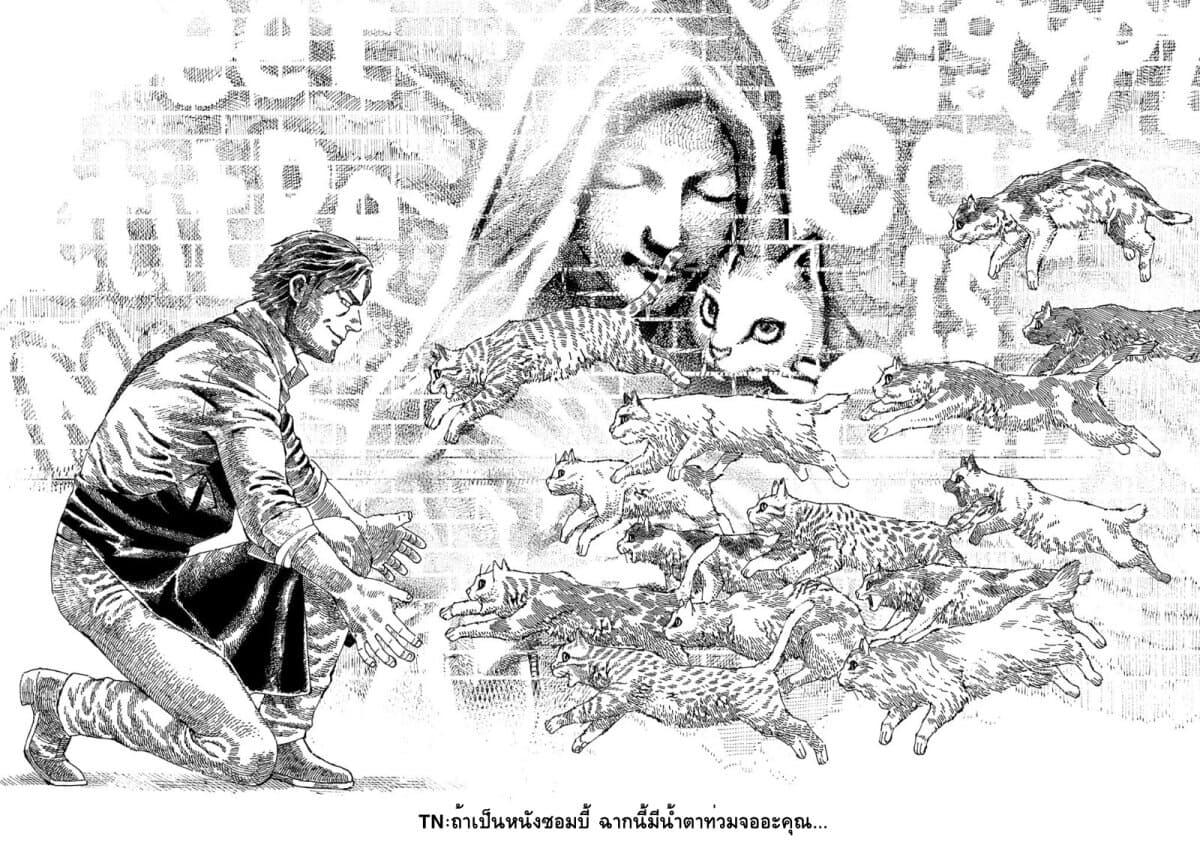 Manga-lc-com อ่านมังงะ อ่านการ์ตูน ออนไลน์ ฟรี Nyaight of the Living Cat ตอนที่ 1 2 3 4 5 6 7 8 9 10 11 12 13 14 ฟรี ไม่มีโฆษณา Manga-lc - อ่าน มังงะ อ่าน การ์ตูน ออนไลน์ อ่านมังงะ ฟรี