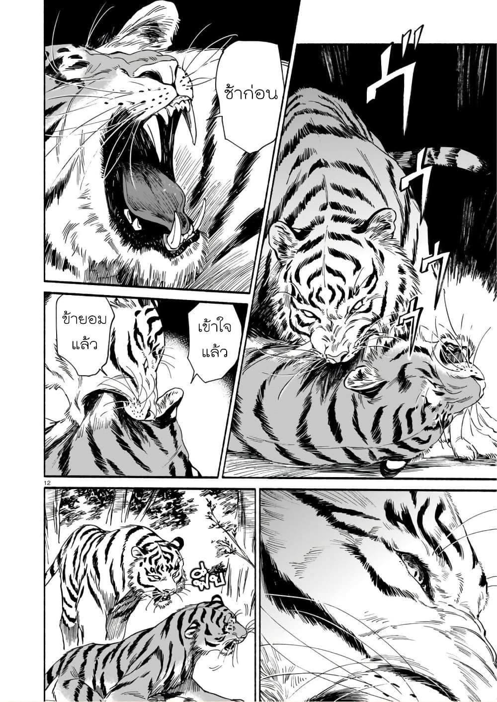 Manga-lc-com อ่านมังงะ อ่านการ์ตูน ออนไลน์ ฟรี Tora ha Ryuu wo mada Tabenai ตอนที่ 1 2 3 4 5 6 7 8 9 10 11 12 13 14 ฟรี ไม่มีโฆษณา Manga-lc - อ่าน มังงะ อ่าน การ์ตูน ออนไลน์ อ่านมังงะ ฟรี