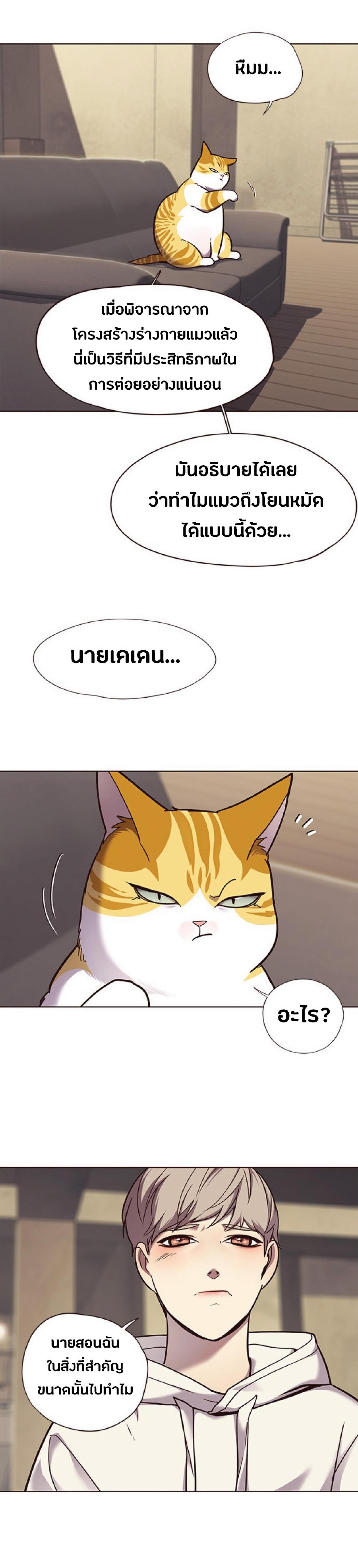 Manga-lc-com อ่านมังงะ อ่านการ์ตูน ออนไลน์ ฟรี Eleceed ตอนที่ 1 2 3 4 5 6 7 8 9 10 11 12 13 14 ฟรี ไม่มีโฆษณา Manga-lc - อ่าน มังงะ อ่าน การ์ตูน ออนไลน์ อ่านมังงะ ฟรี