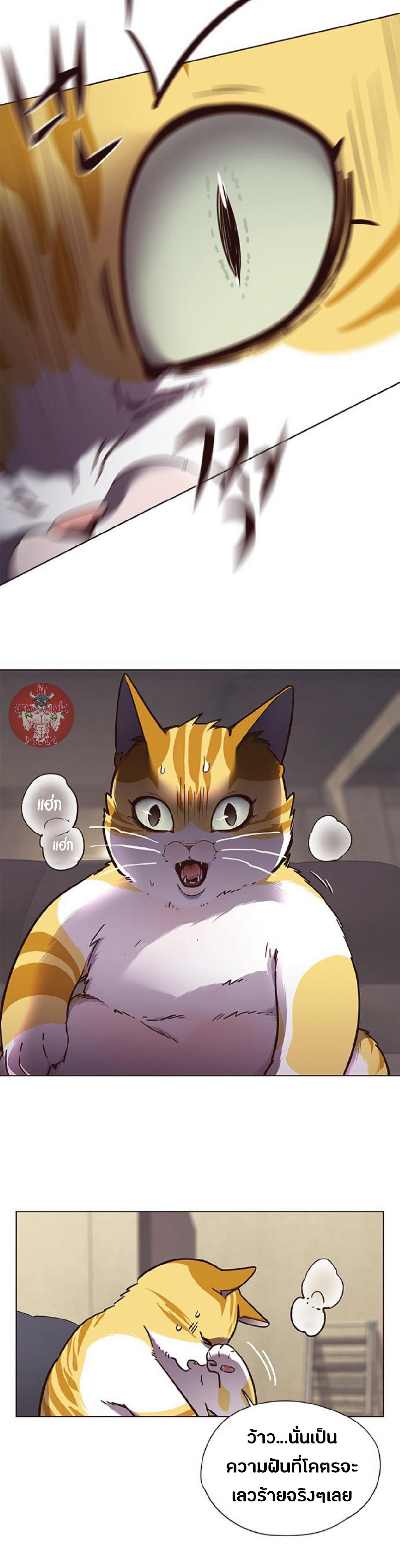 Manga-lc-com อ่านมังงะ อ่านการ์ตูน ออนไลน์ ฟรี Eleceed ตอนที่ 1 2 3 4 5 6 7 8 9 10 11 12 13 14 ฟรี ไม่มีโฆษณา Manga-lc - อ่าน มังงะ อ่าน การ์ตูน ออนไลน์ อ่านมังงะ ฟรี