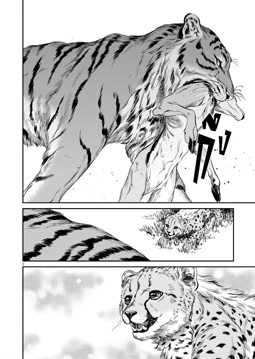 Manga-lc-com อ่านมังงะ อ่านการ์ตูน ออนไลน์ ฟรี Tora ha Ryuu wo mada Tabenai ตอนที่ 1 2 3 4 5 6 7 8 9 10 11 12 13 14 ฟรี ไม่มีโฆษณา Manga-lc - อ่าน มังงะ อ่าน การ์ตูน ออนไลน์ อ่านมังงะ ฟรี