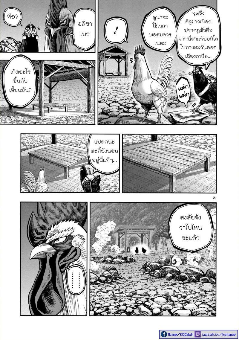 Manga-lc-com อ่านมังงะ อ่านการ์ตูน ออนไลน์ ฟรี Rooster Fighter ตอนที่ 1 2 3 4 5 6 7 8 9 10 11 12 13 14 ฟรี ไม่มีโฆษณา Manga-lc - อ่าน มังงะ อ่าน การ์ตูน ออนไลน์ อ่านมังงะ ฟรี